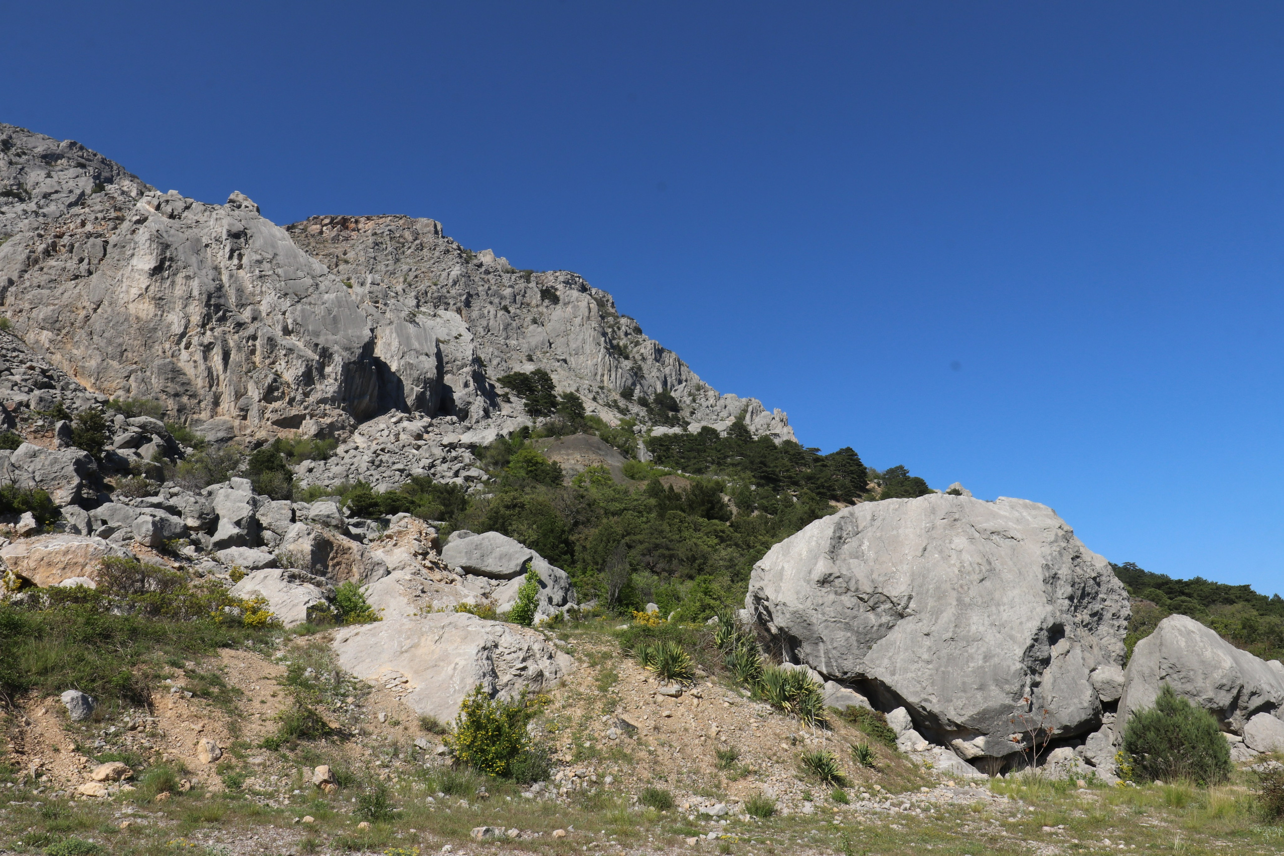 Крым. ЮБК (Севастополь, Кастрополь, Ялта). Май 2023. Путешественник-фотограф из Санкт-Петербурга Татьяна Свистулина