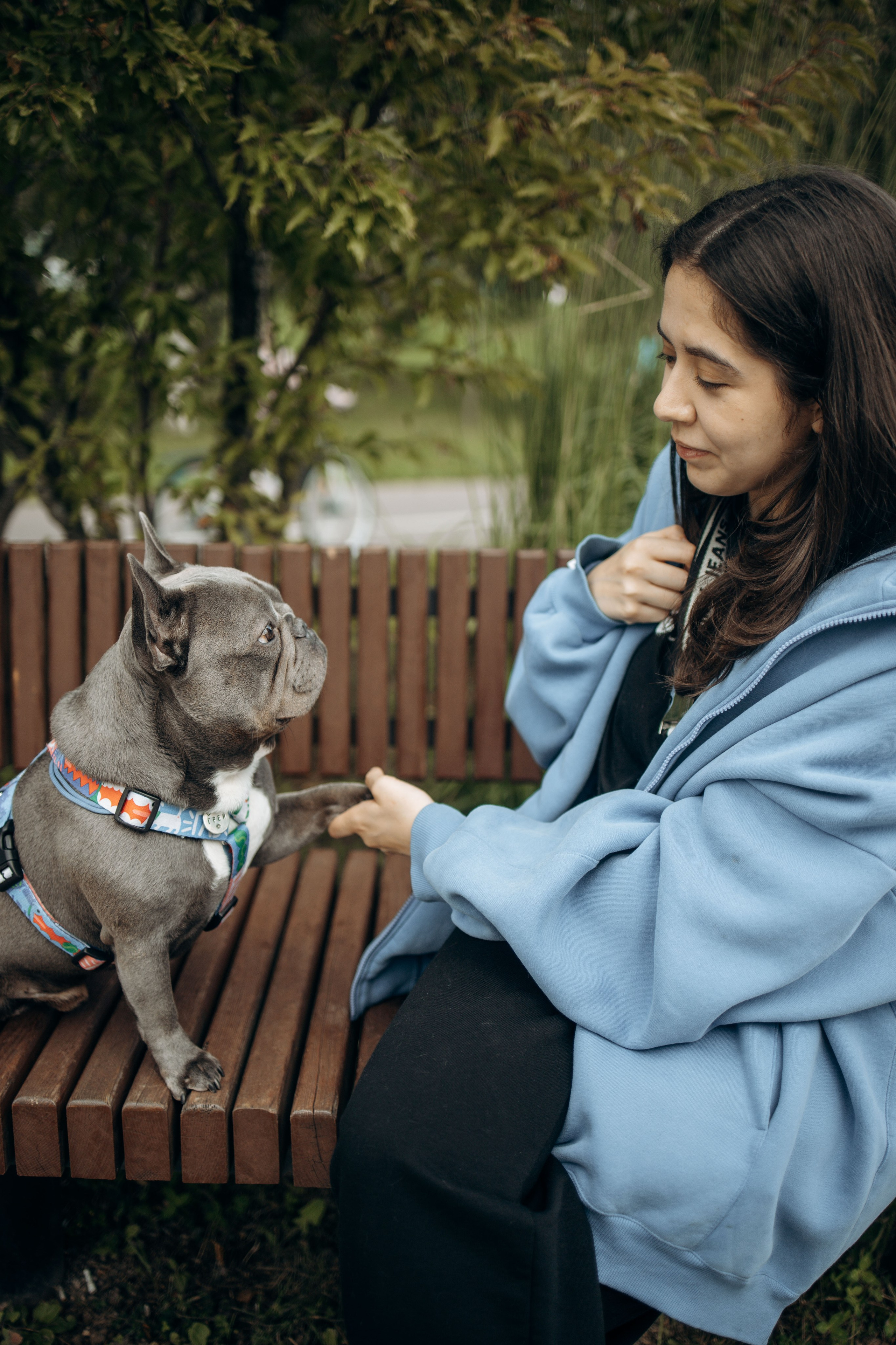 Грей и его семья