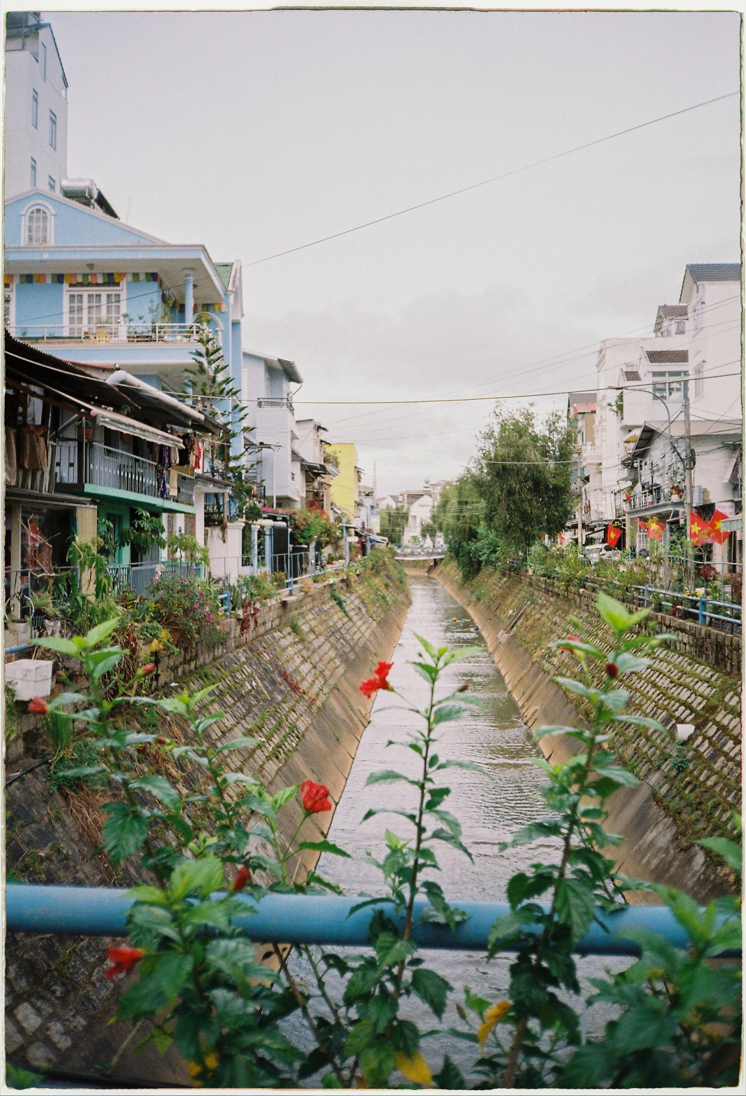 Dalat 2024. Film Photographer in Da Nang, Vietnam — Tanya Parfenteva