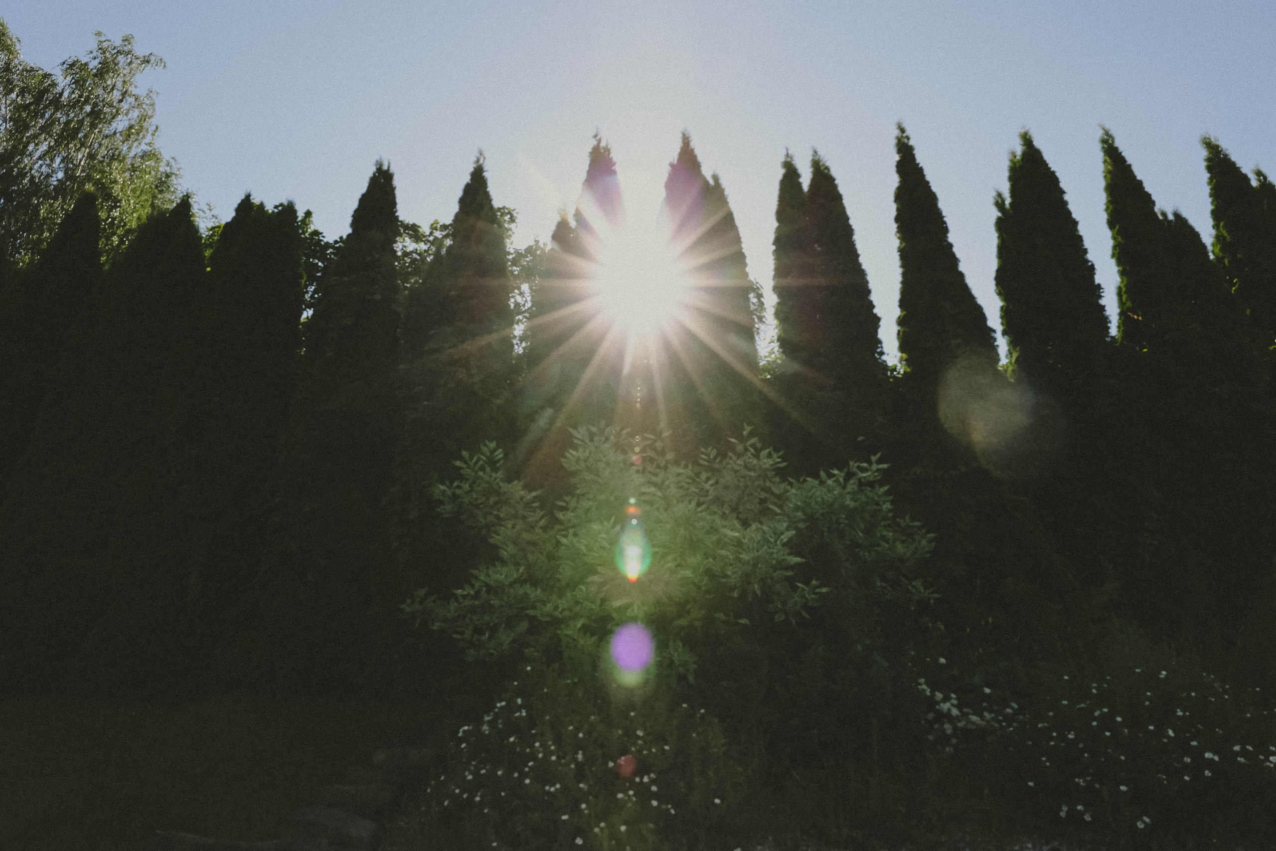 Анастасия и Владимир. Свадебный, репортажный, фотограф Москва и Московская область
