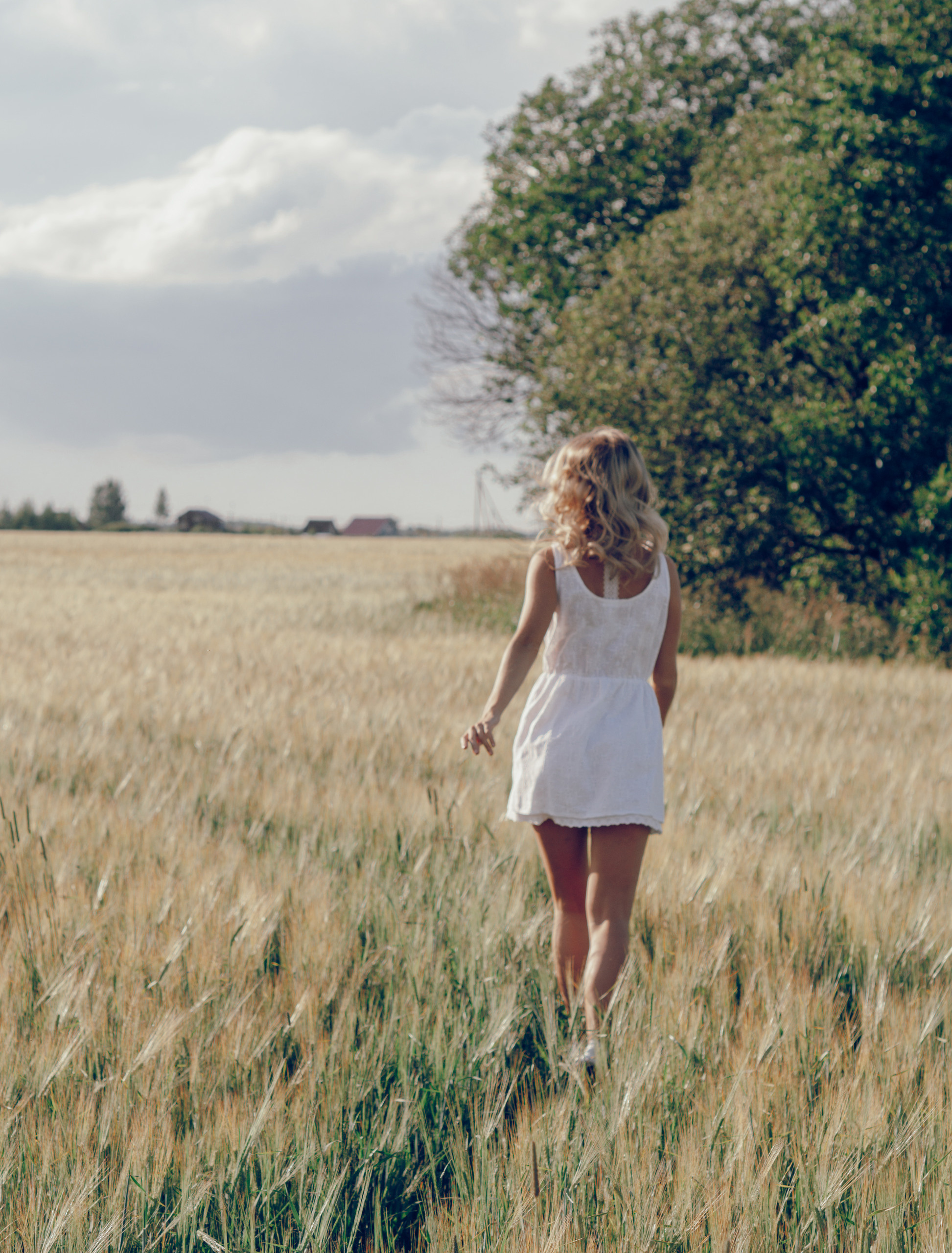 Ll. @dariazphoto свадебный фотограф