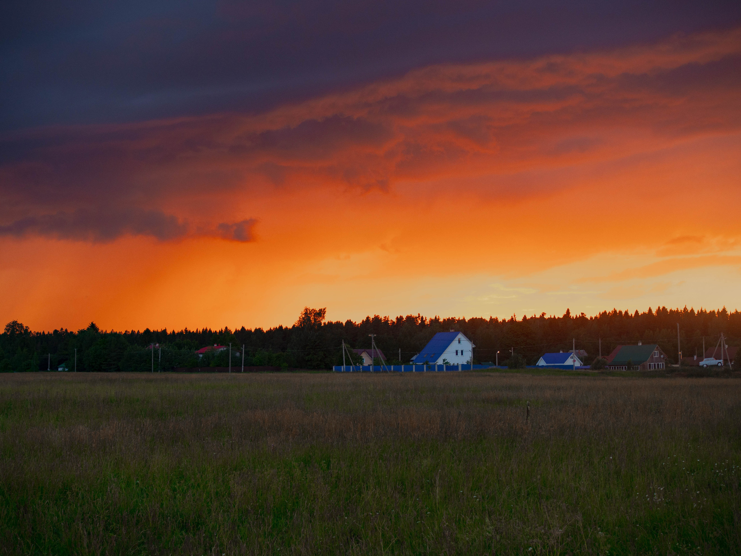 Ll. @dariazphoto свадебный фотограф