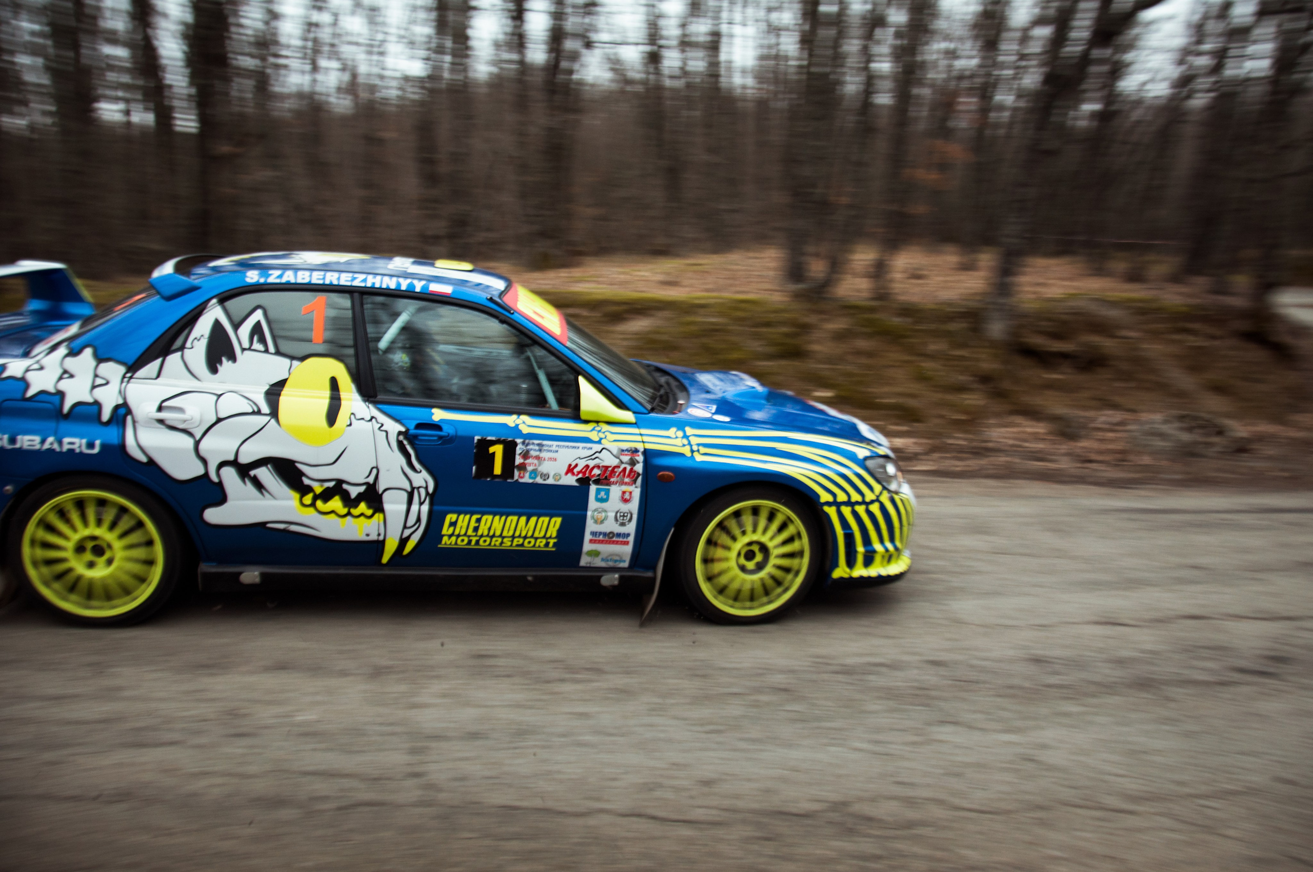 Кастель-2026. Репортажный фотограф в Симферополе Зареев Иван