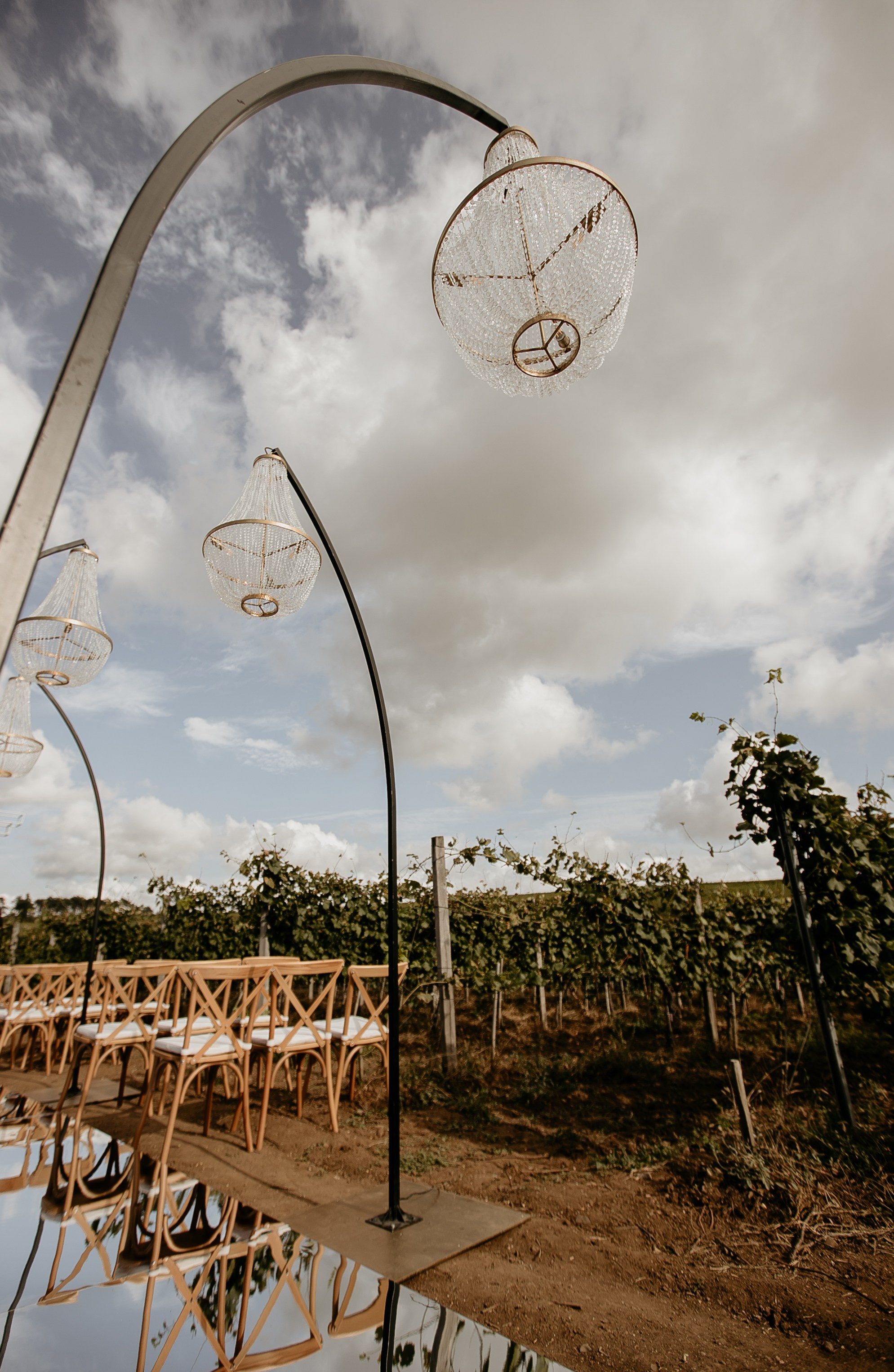 Wedding on winery. Свадебный фотограф в Севастополе и Крыму| Tanya Sher