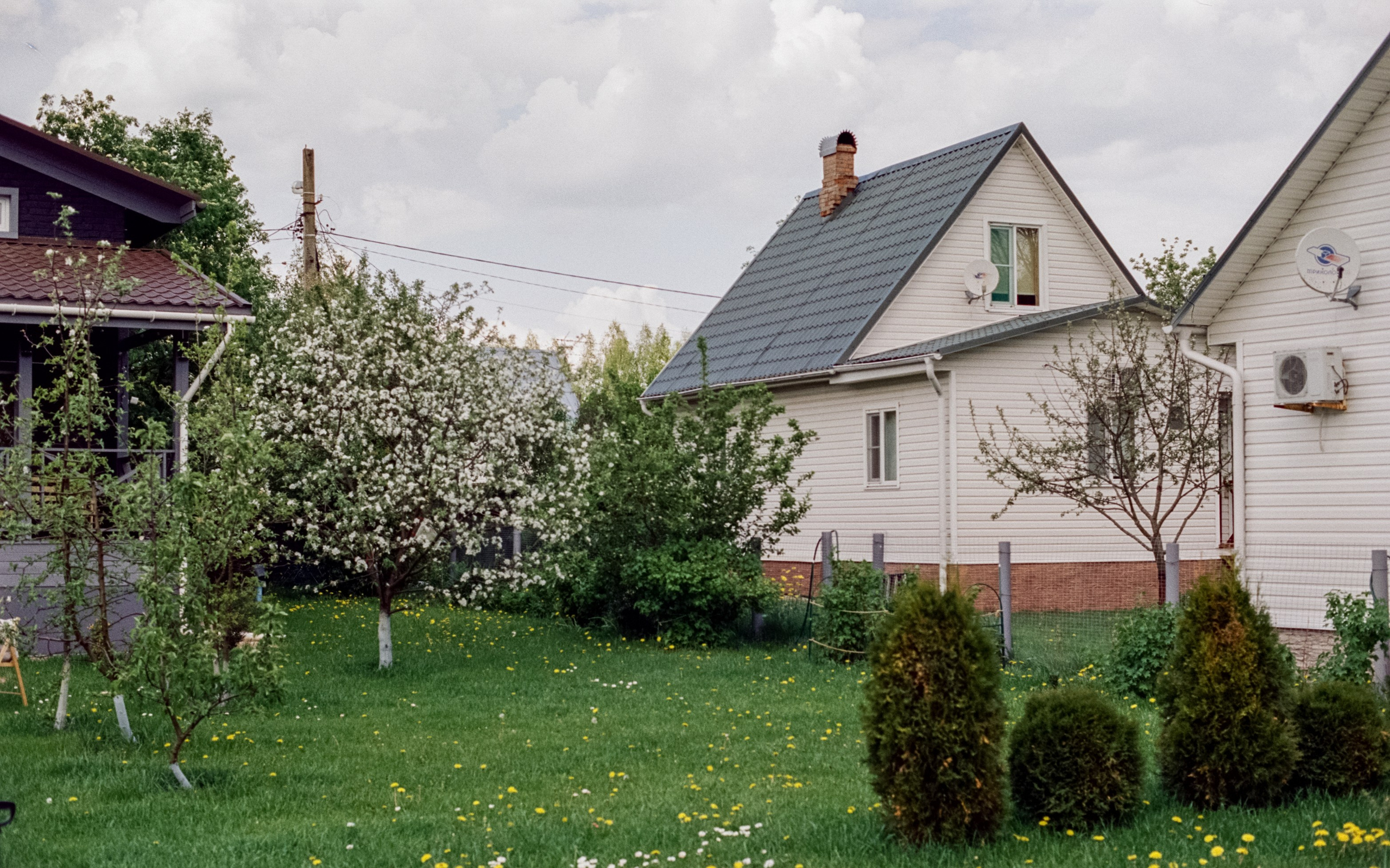 Nikon F100 — Micro-Nikkor-P.C Auto 55 mm f3.5 | май 2025 года | Давыдовское