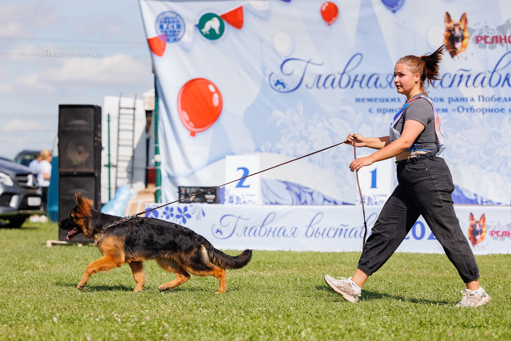Немецкие овчарки: фото из рингов и вне ринга, мутпроба (фотографии с выставок). Фотограф собак, фотограф-анималист Аня Титова (Titanya). Москва
