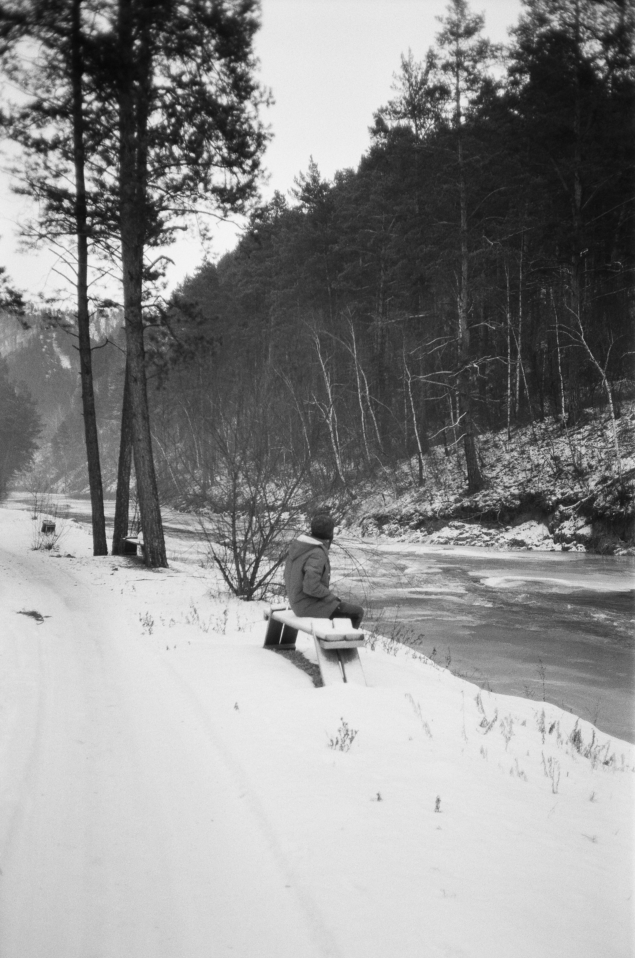 Деревня Берендеевка и кафе Лампа в верхах Алтая. Горы и поля Чемала. Фотограф-документалист Мария Осокина