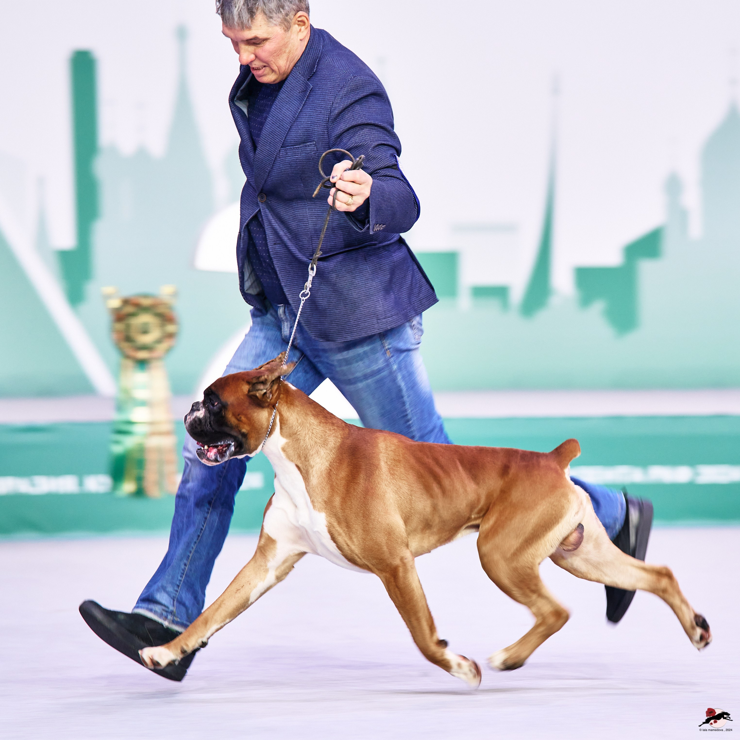 16.11.2024 «ЕВРАЗИЯ. КУБОК ПРЕЗИДЕНТА РКФ 2024»