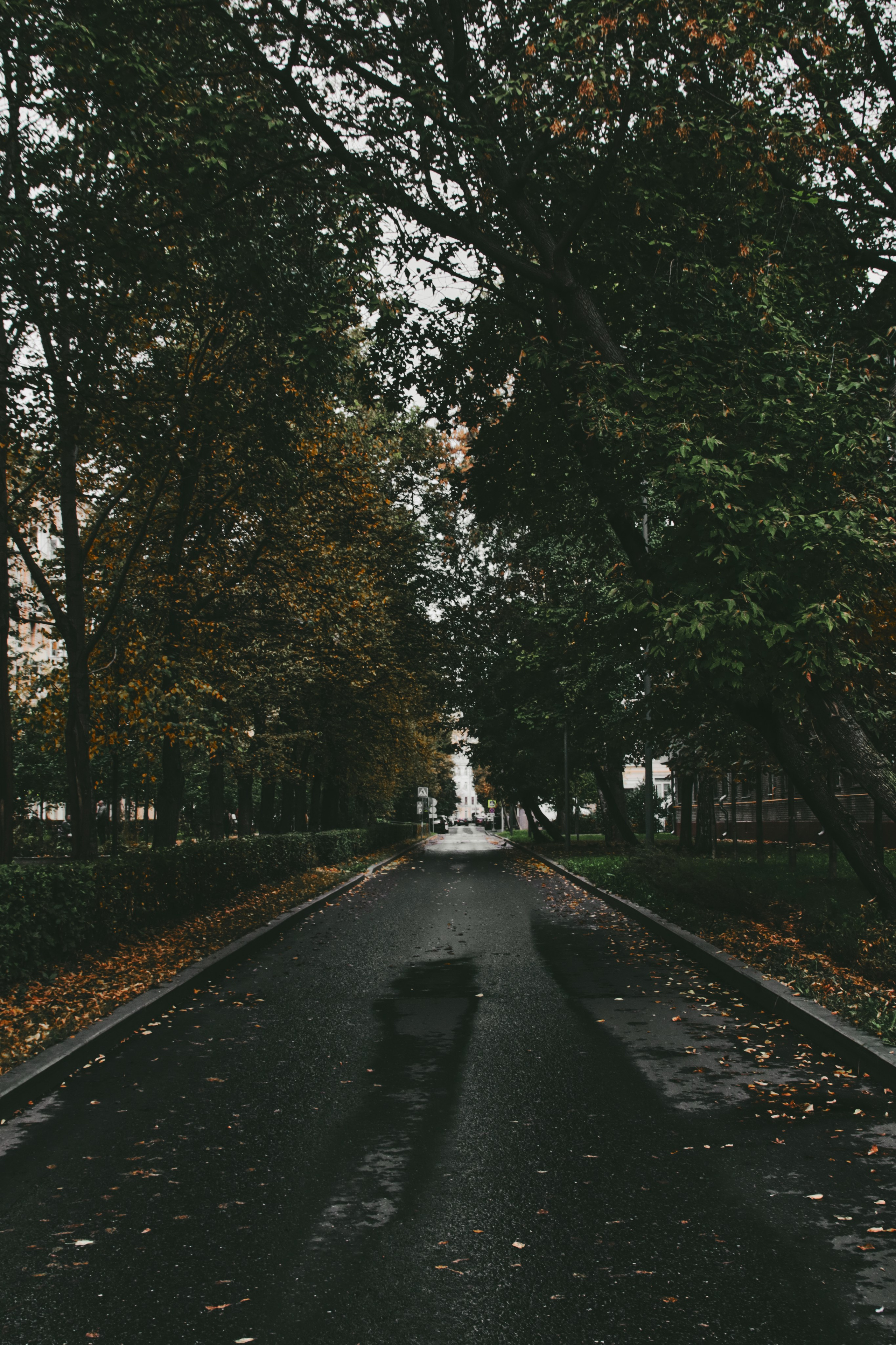 Москва. Фотограф Александр Рауш