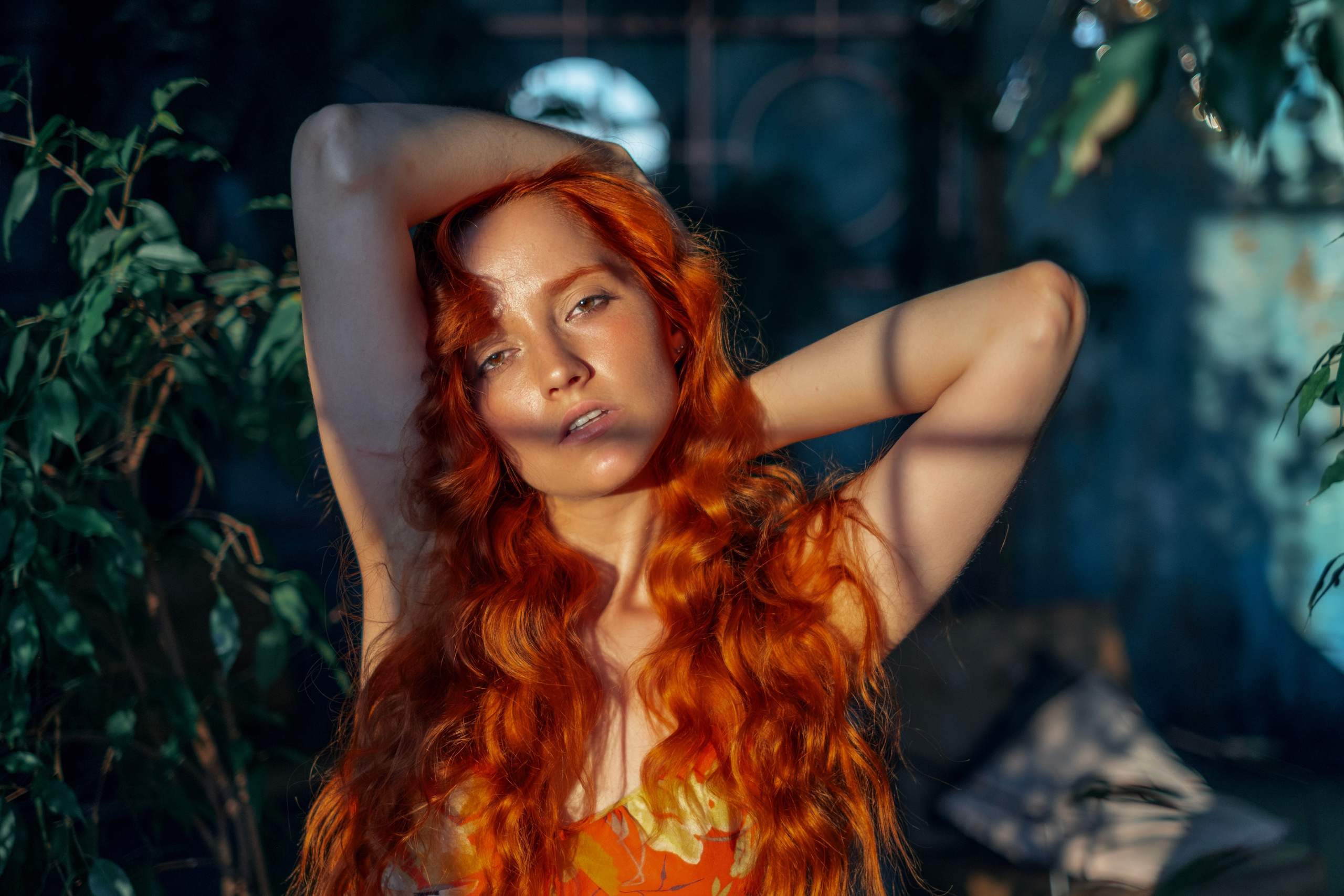 Garden. Andrey Bogdanov Photo