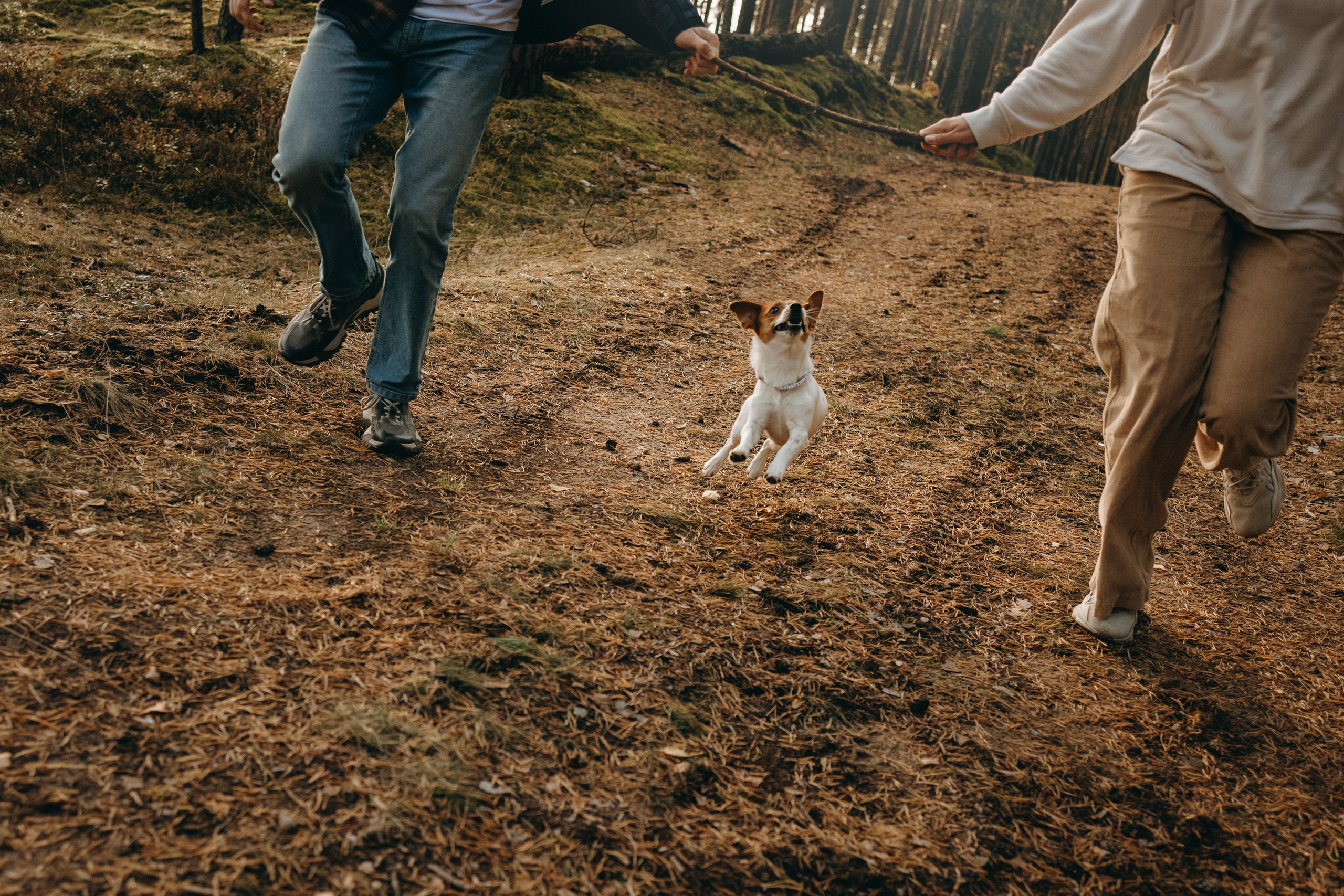 Лея и ее семья. Фотограф — Анималист | Санкт-Петербург