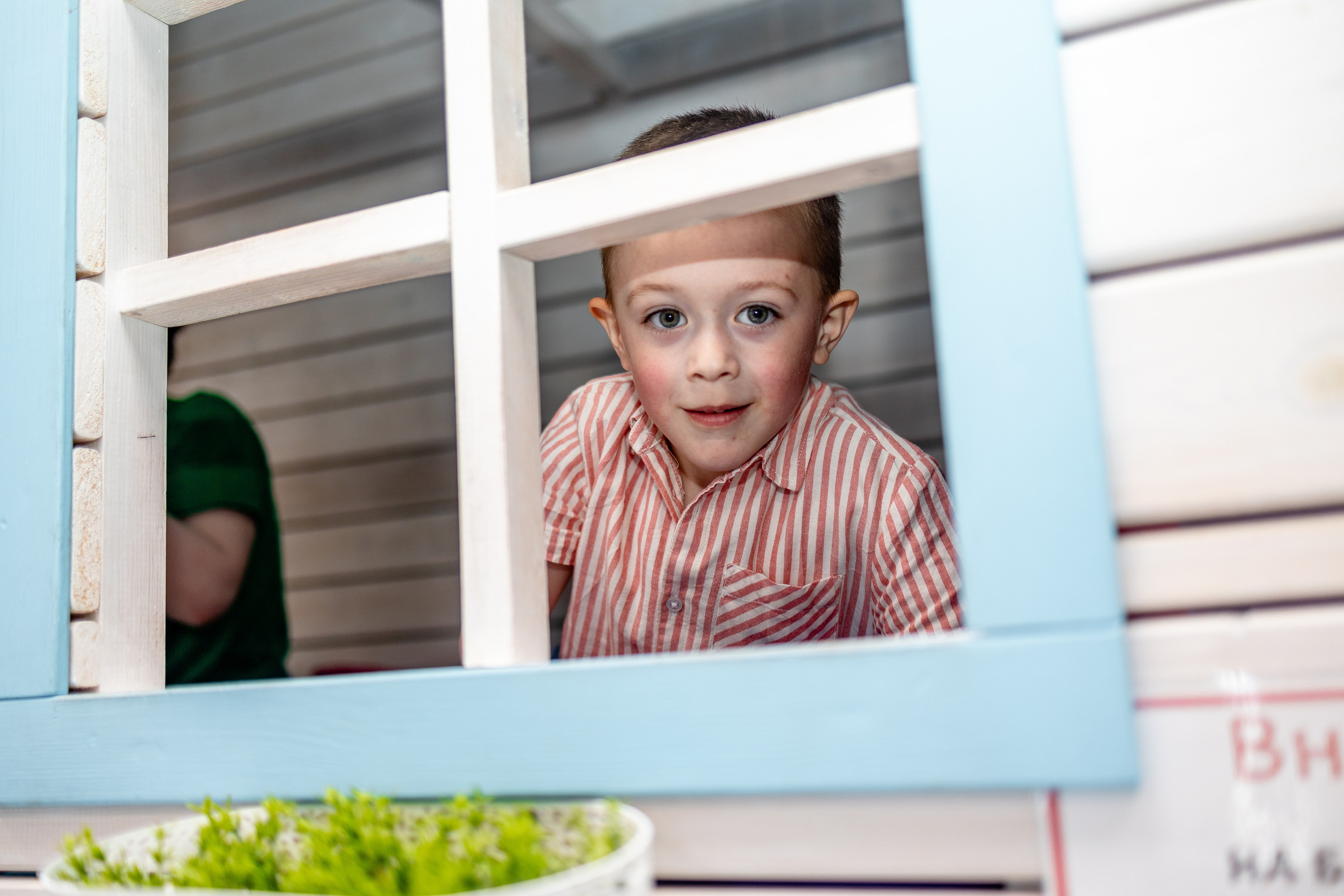 Авокадо. Фотограф Елена Медок Калининград