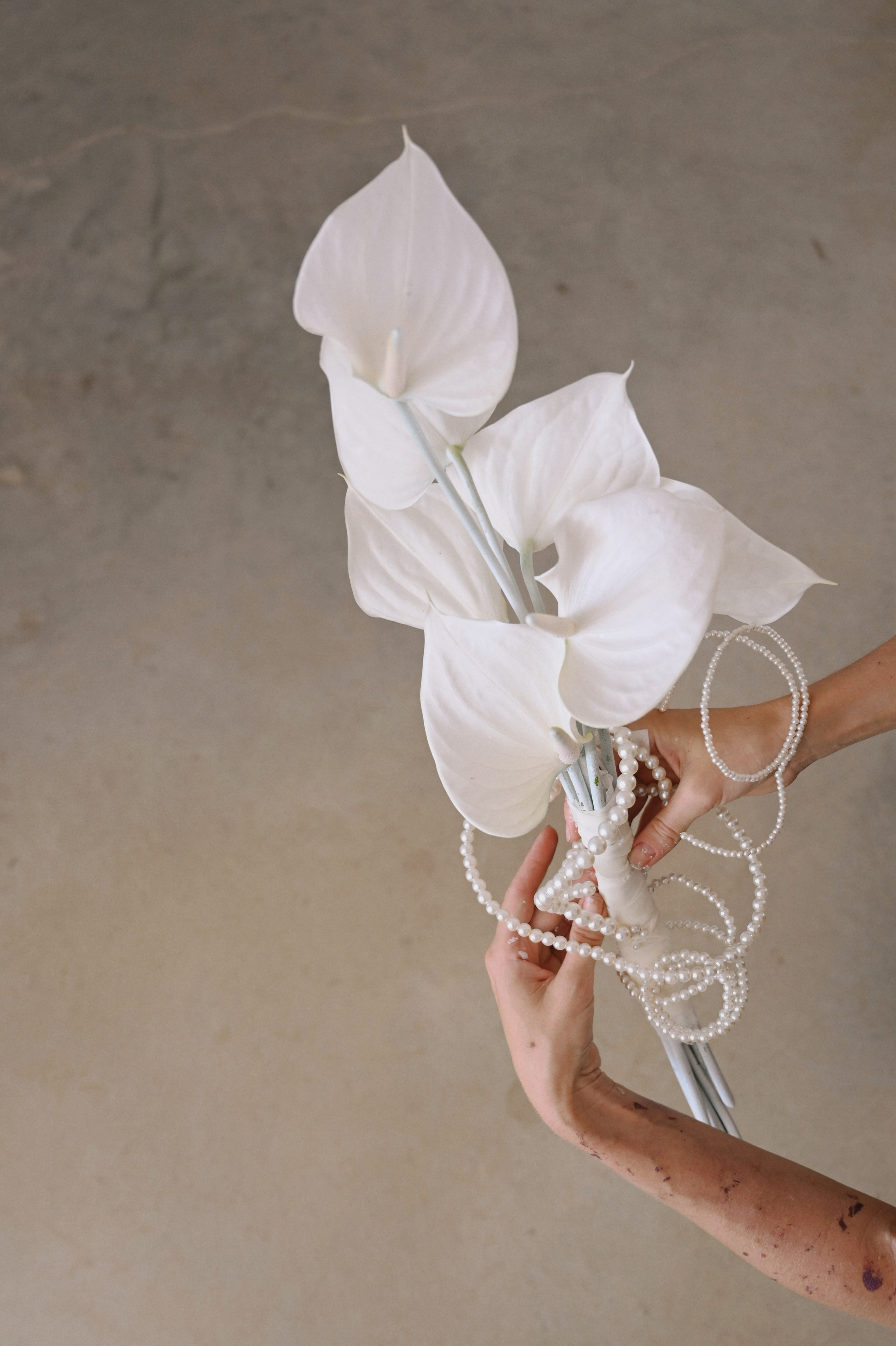 Events. Rimma Kim | photo | video | content creation