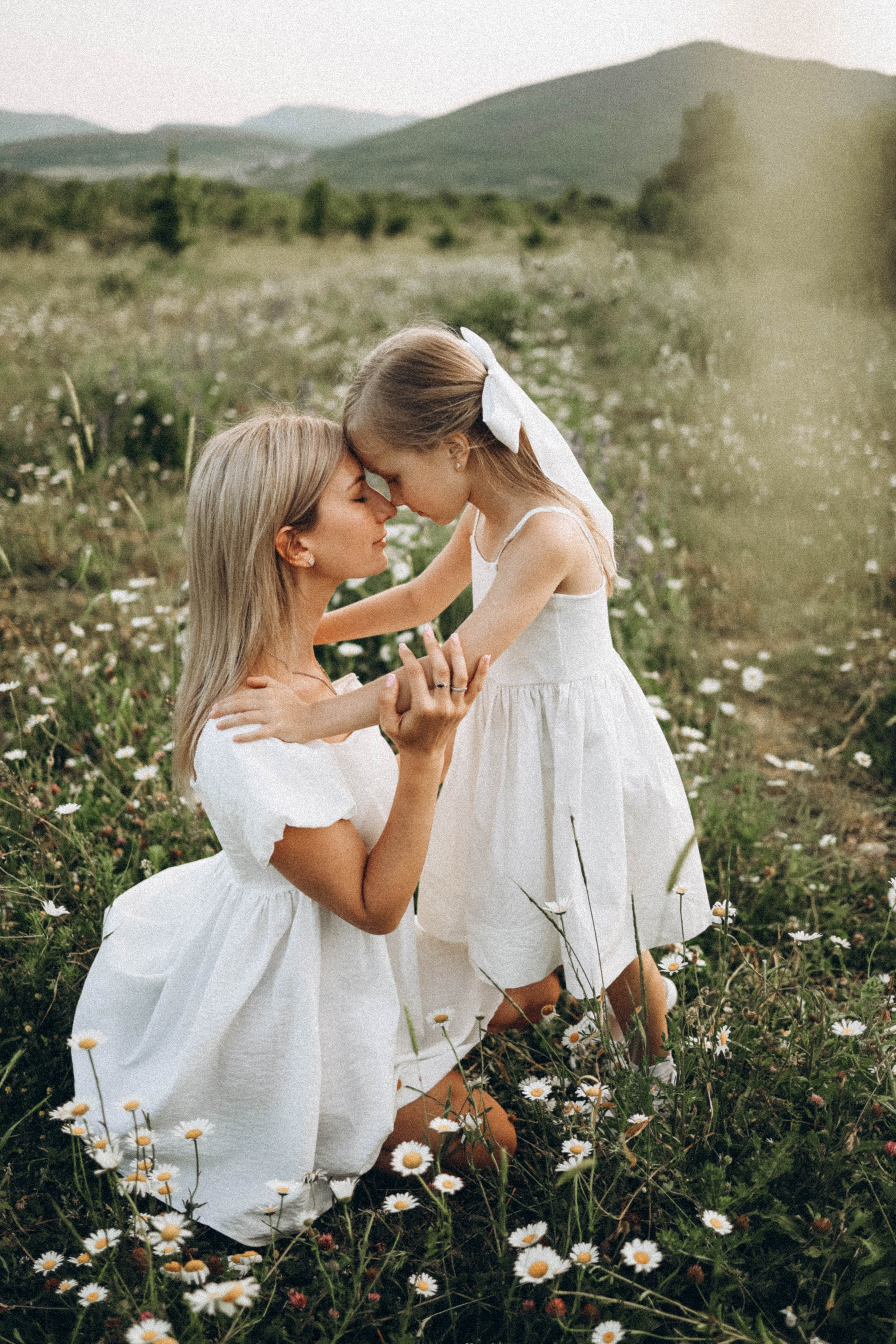 Ромашки. Фотограф Немазенко Ольга