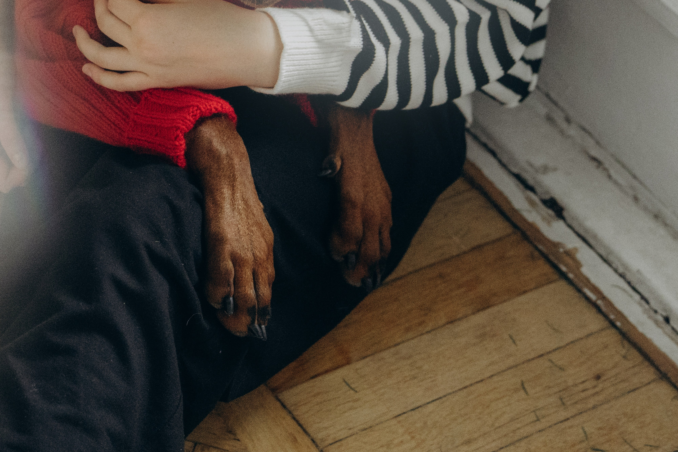 Саша и Асти. Фотограф анималист в Москве и Санкт-Петербурге Свиридова Анна