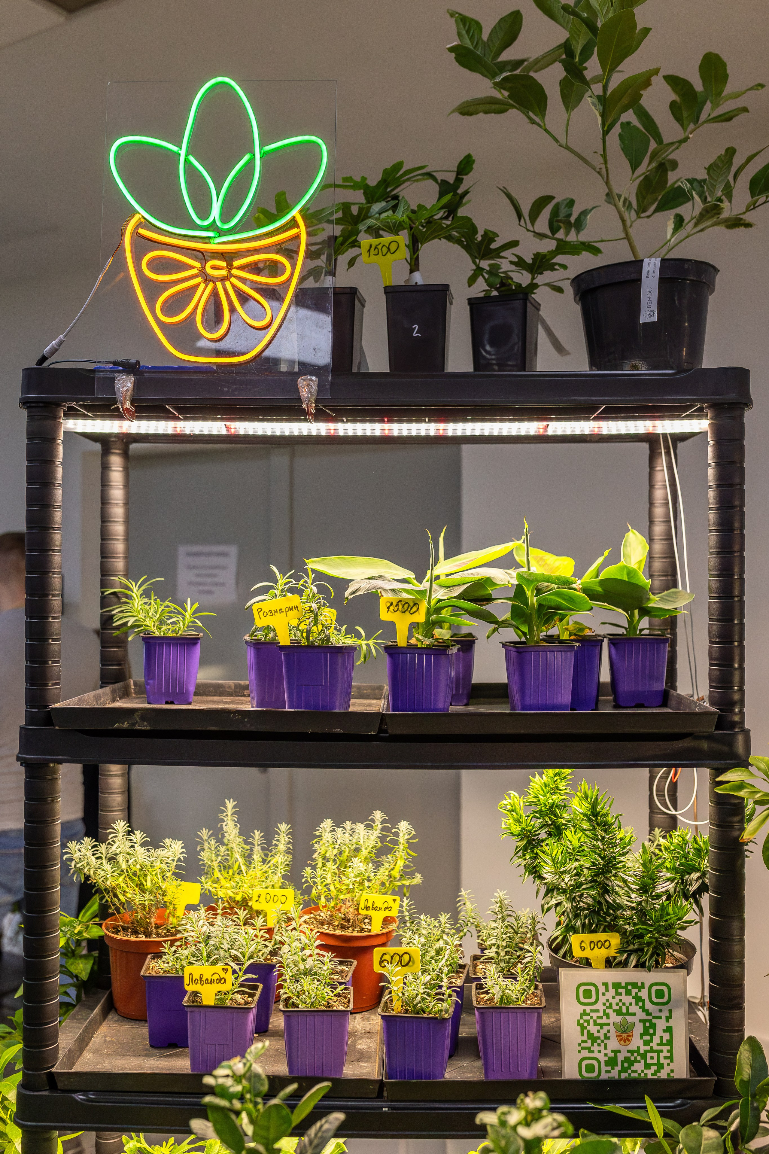 Монстериум апрель 2026. Александра Куликова фотограф, Москва