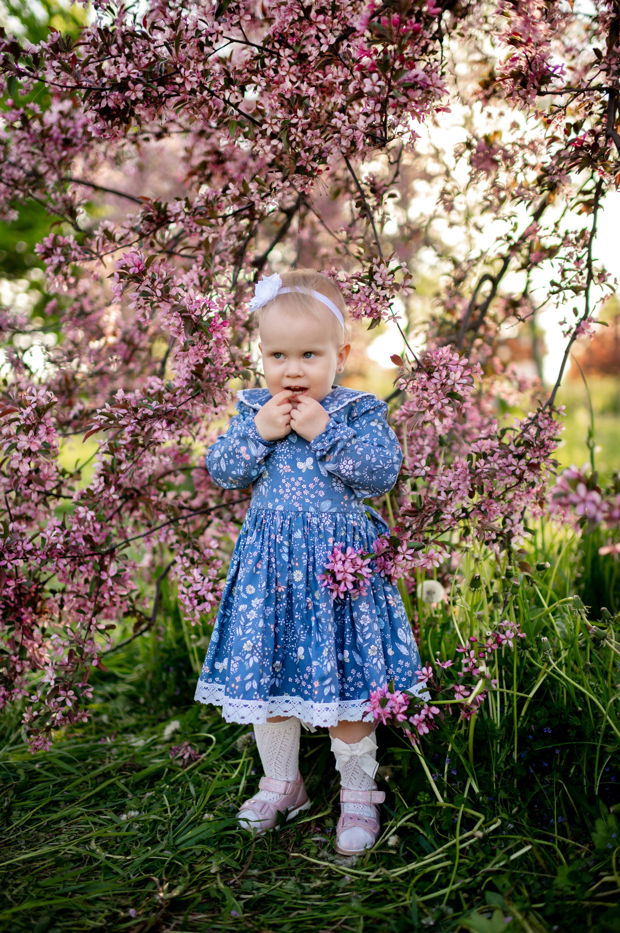 Ника и родители в розовых яблонях. Портретный, семейный и свадебный фотограф в Санкт-Петербурге и в Пушкине Ширяев Денис