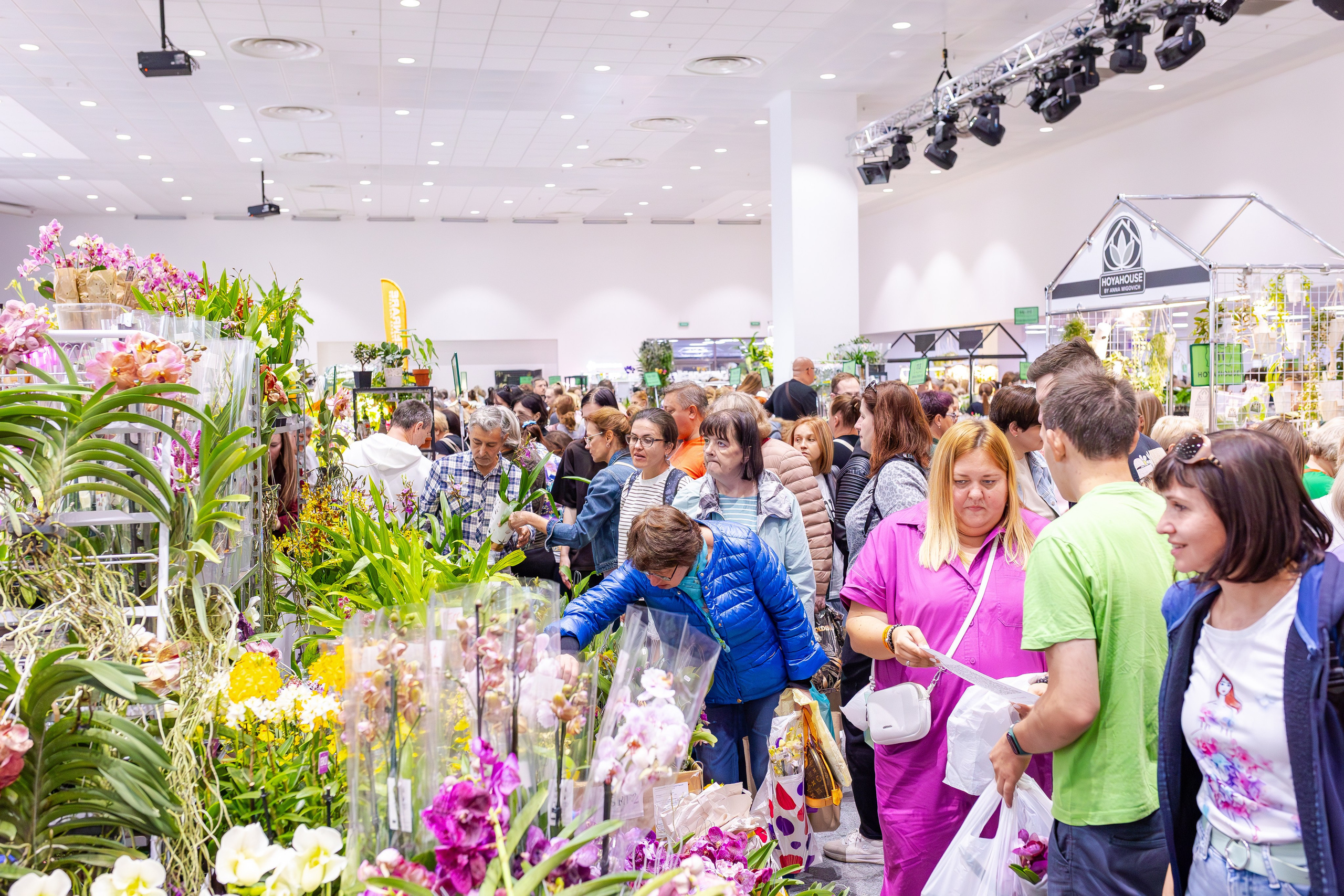 Орхидиум сентябрь 2025. Александра Куликова фотограф, Москва