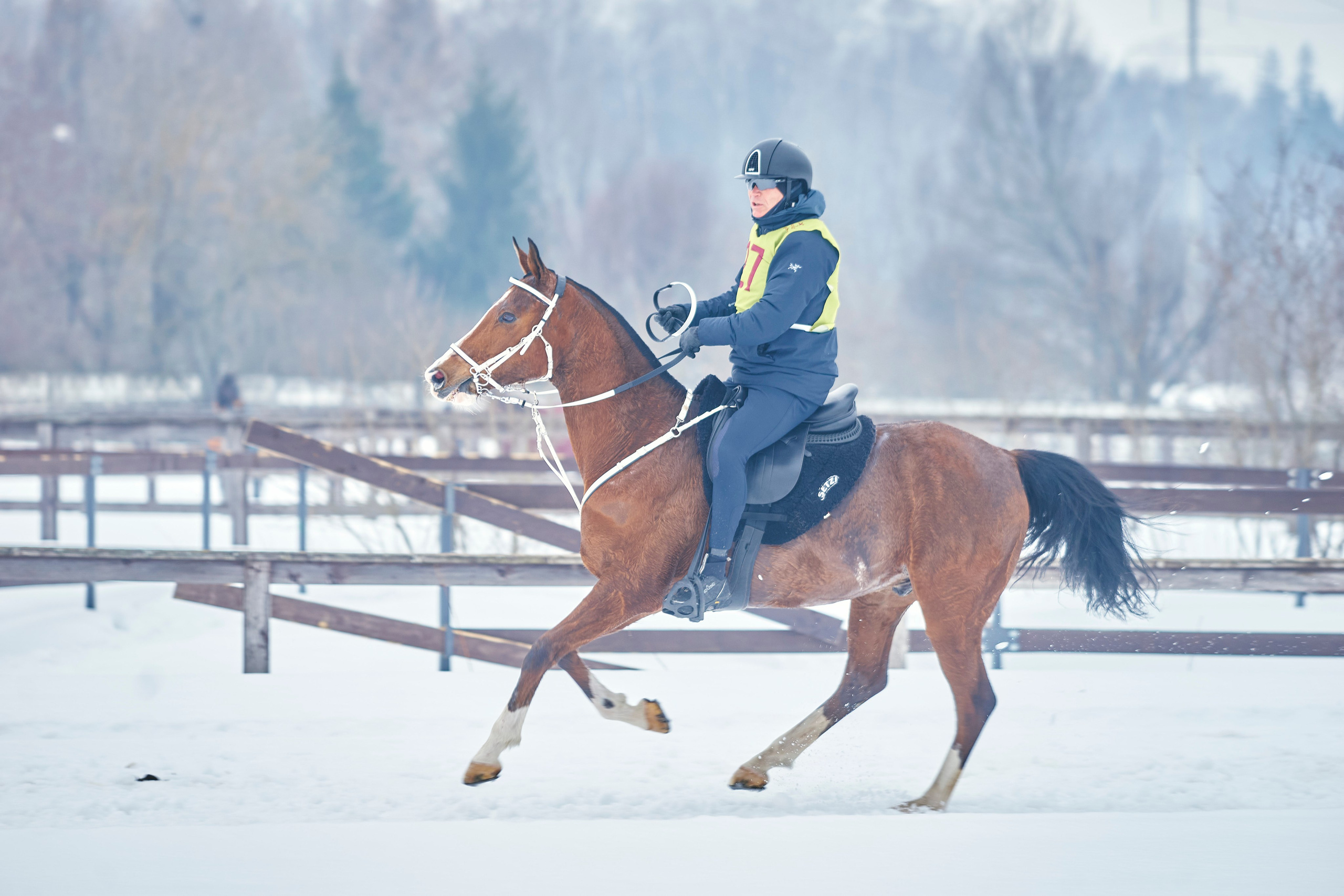 HORSE RACING. Фотограф Наталья Леонова