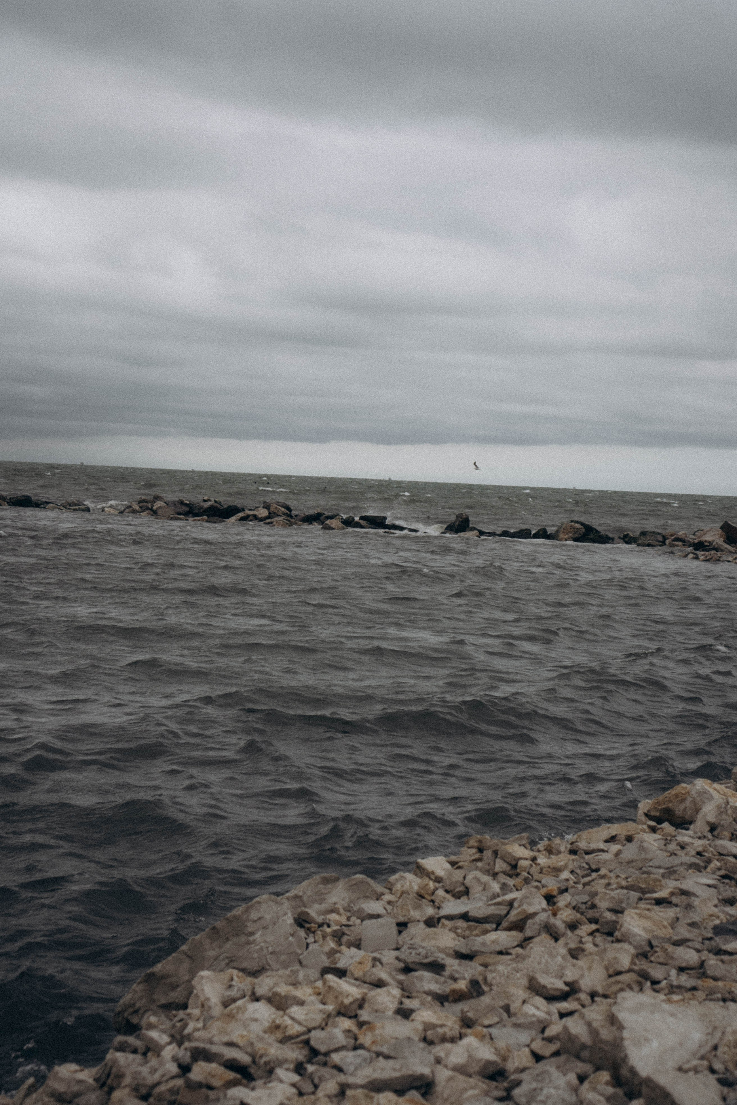 Кавказ. Профессиональный фотограф, Санкт-Петербург — Виктория Богомолова