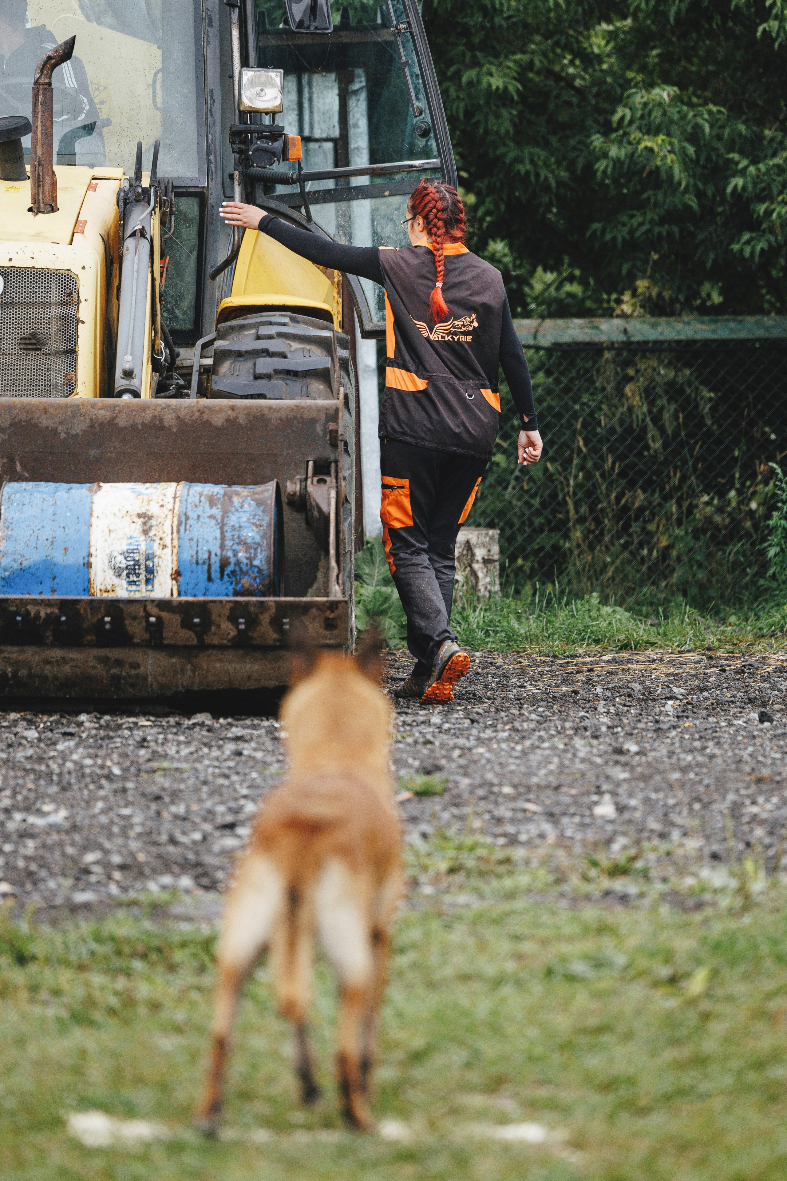 08.08.25-10.08.25 ЧР по мондьорингу г. Вологда. Фотограф-анималист Анна Маринич
