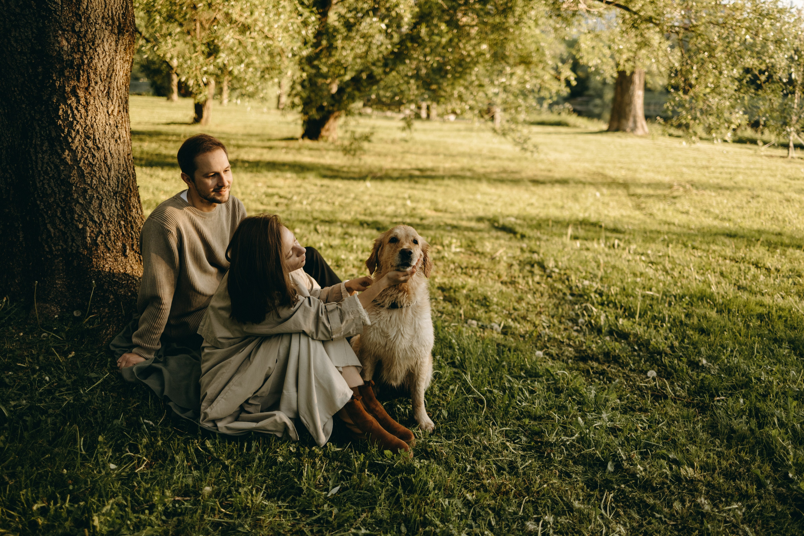 Пенни и ребята. Фотограф — Анималист | Санкт-Петербург