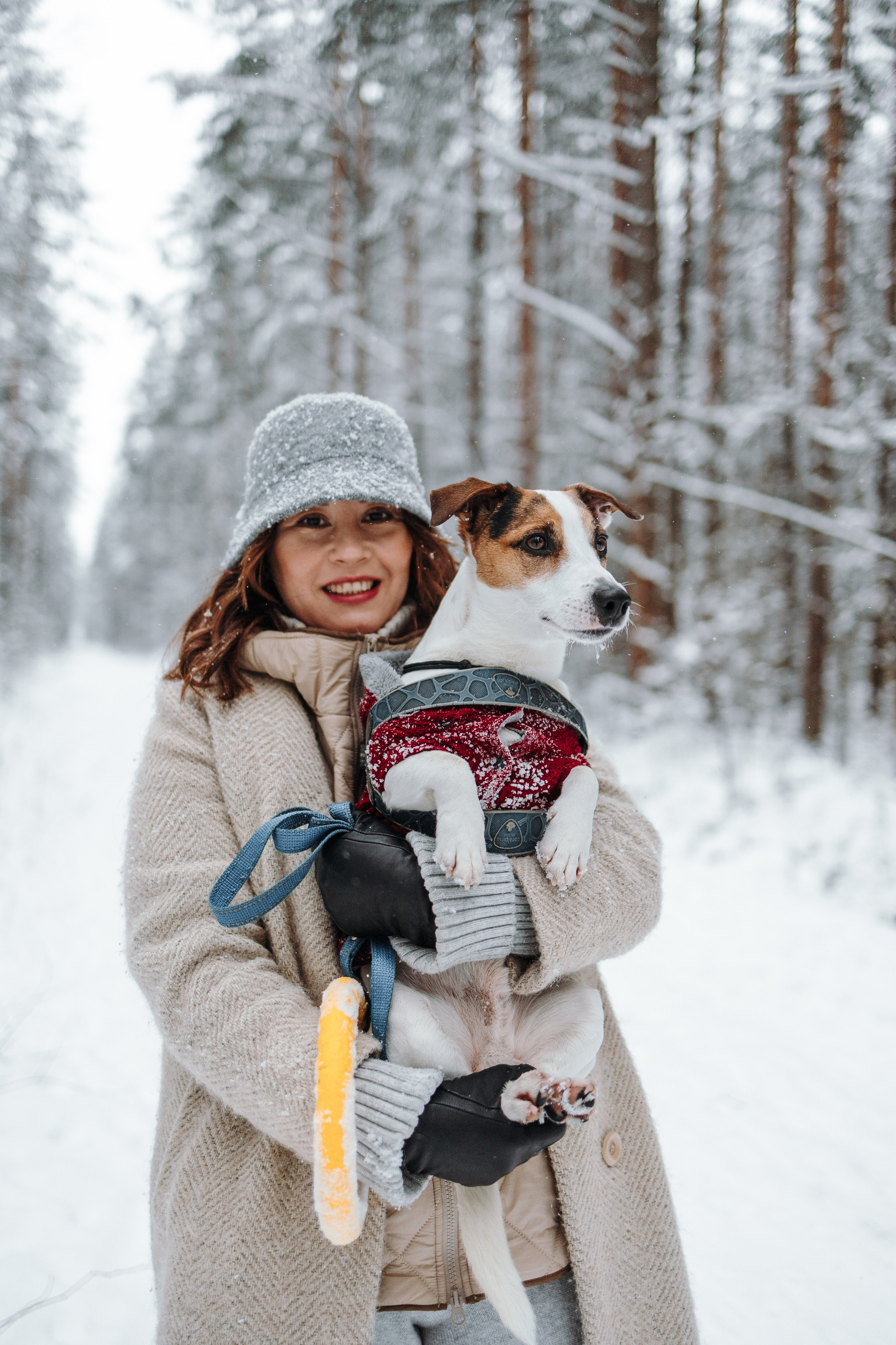 Мики и его семья. Фотограф — Анималист | Санкт-Петербург