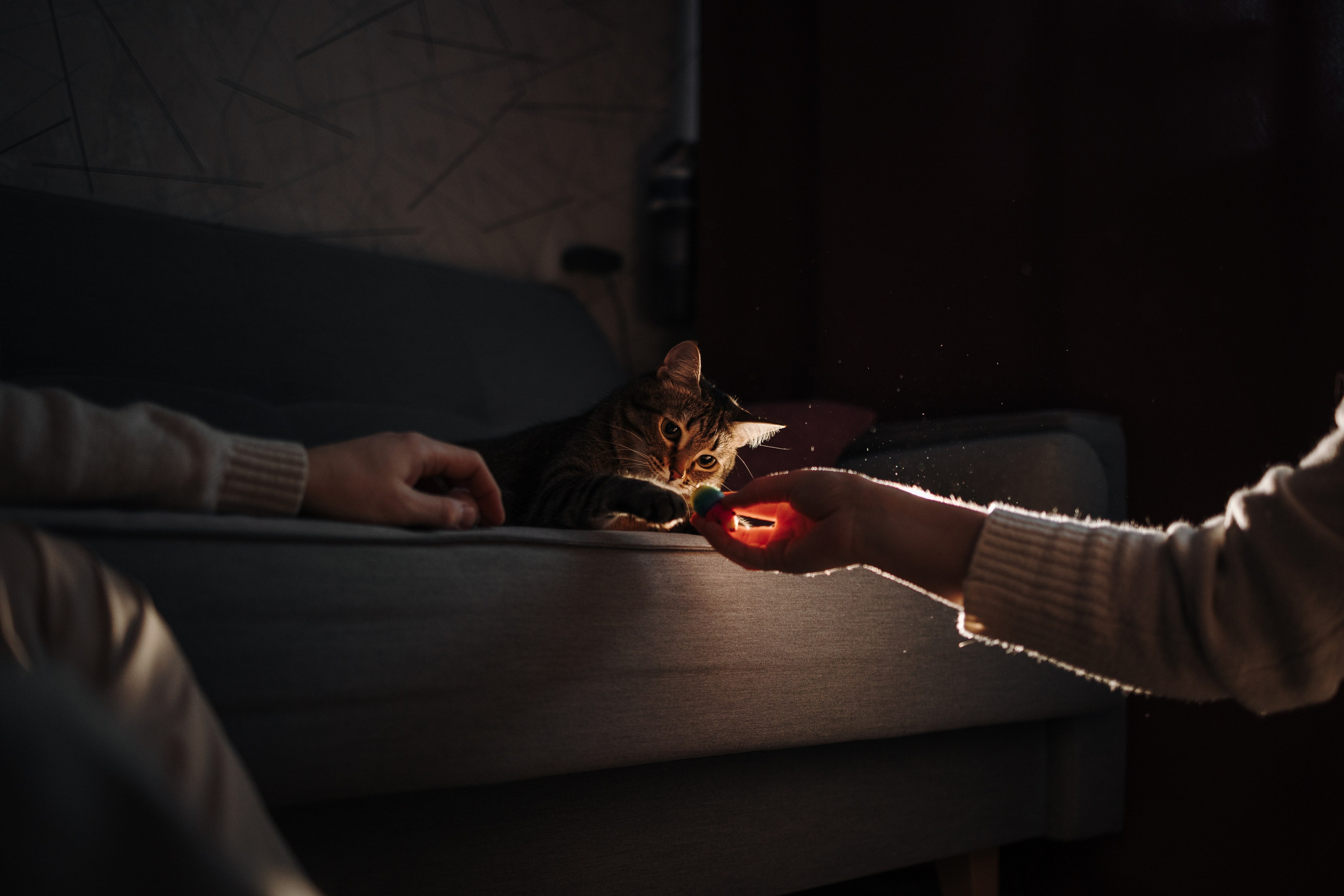 Мася и ее семья. Фотограф — Анималист | Санкт-Петербург