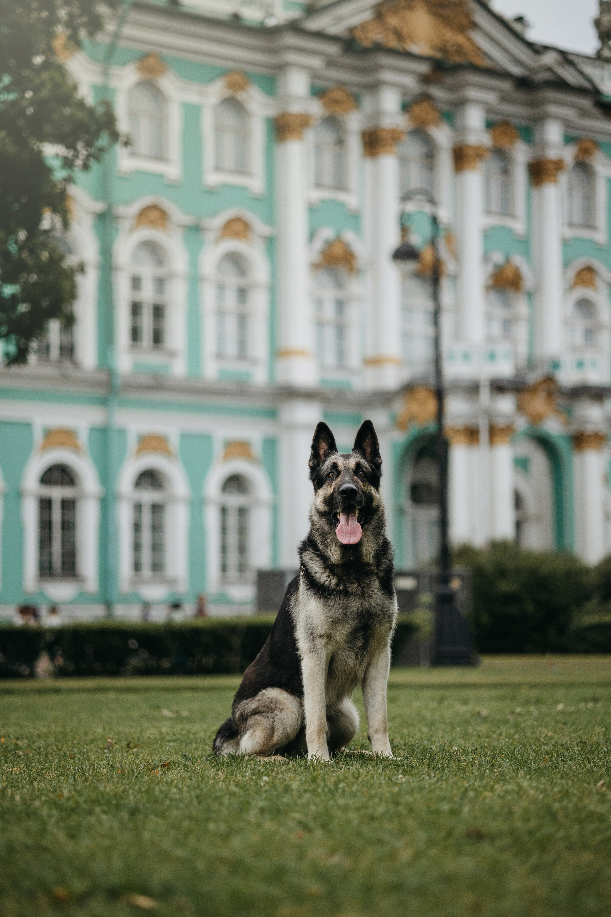 Рей и Ксения. Фотограф — Анималист | Санкт-Петербург