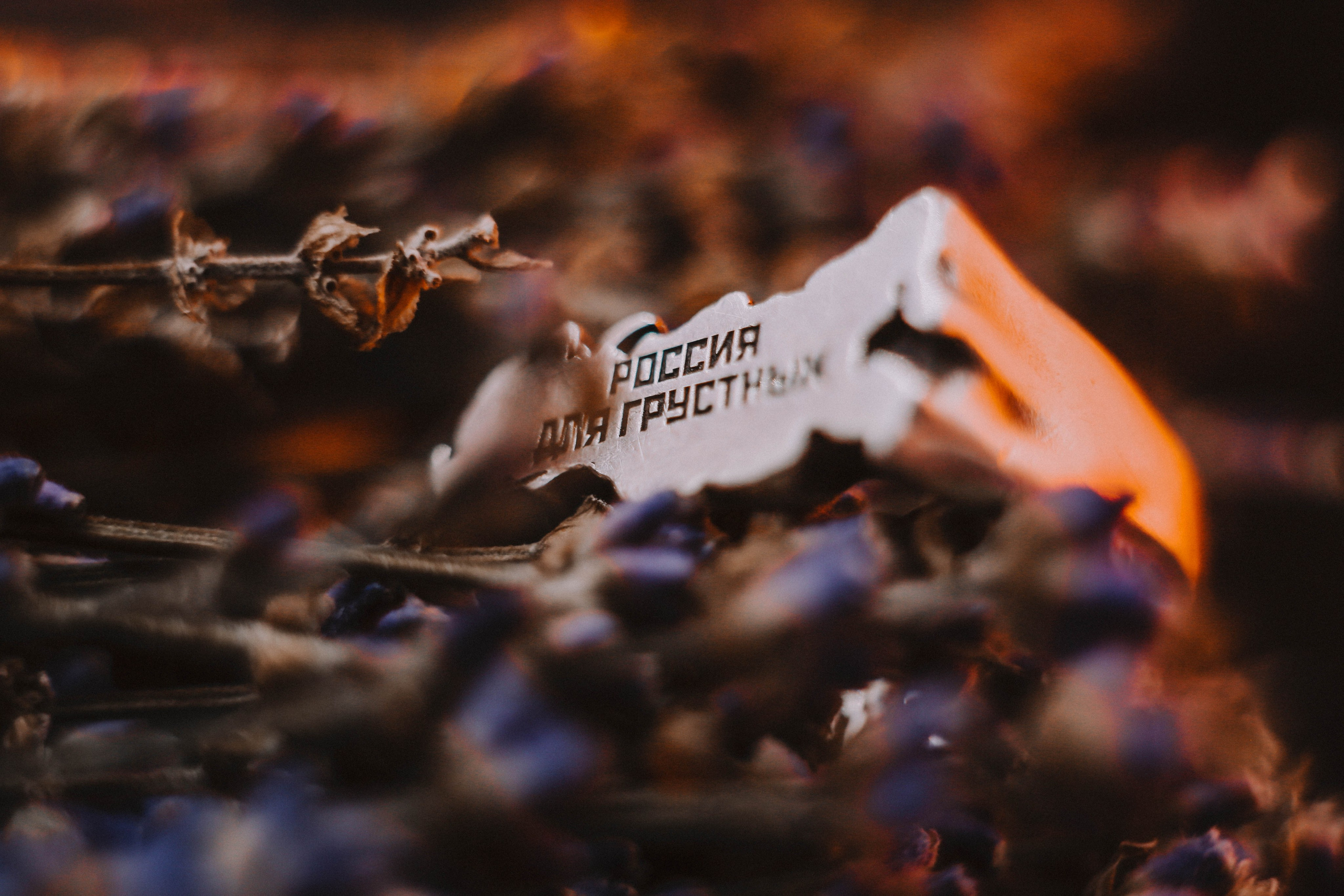 Предметная съемка. Твой снимок СПб