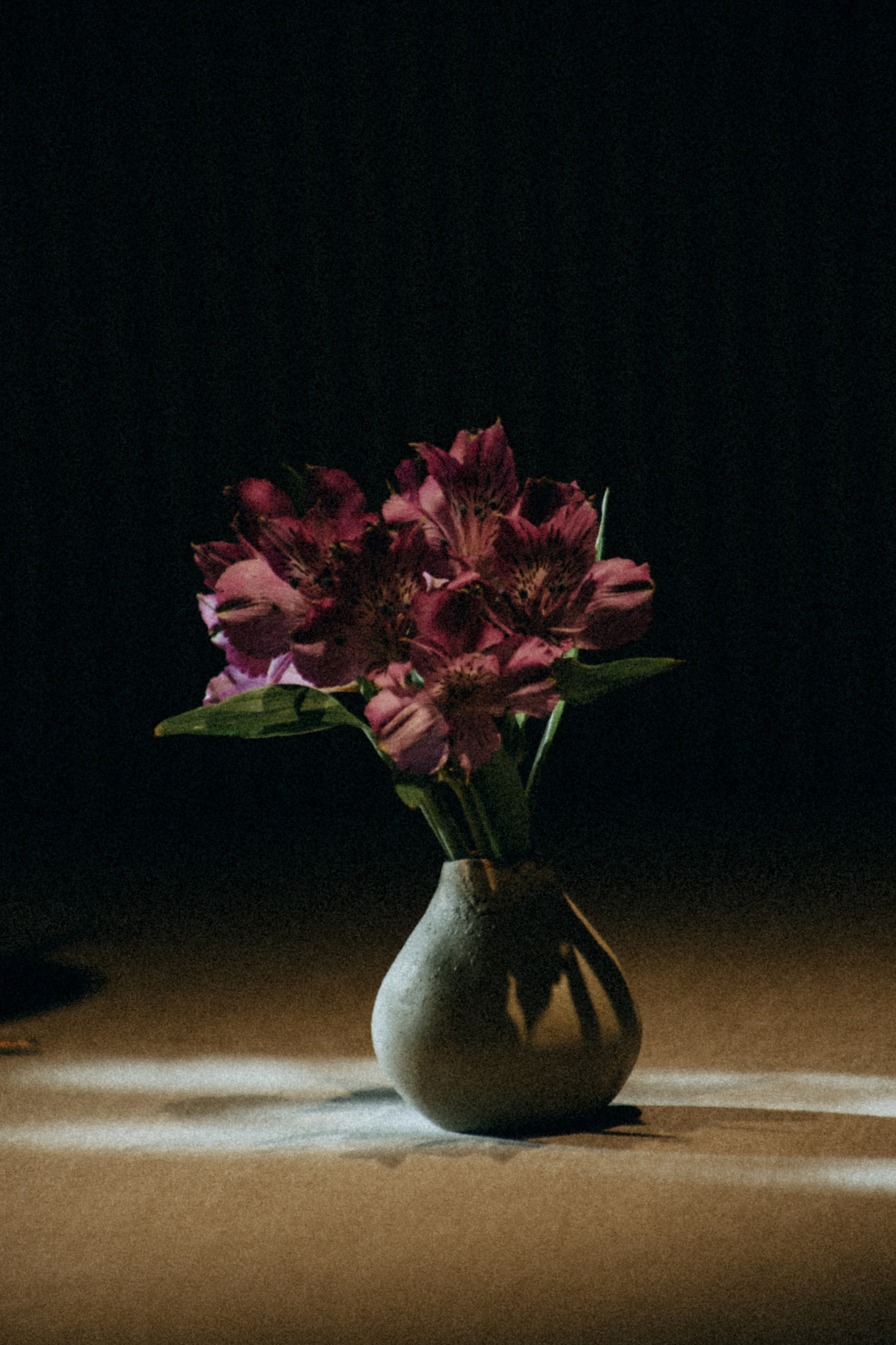 8.08.2025. Фотограф в Белгороде Анастасия Веленгурская