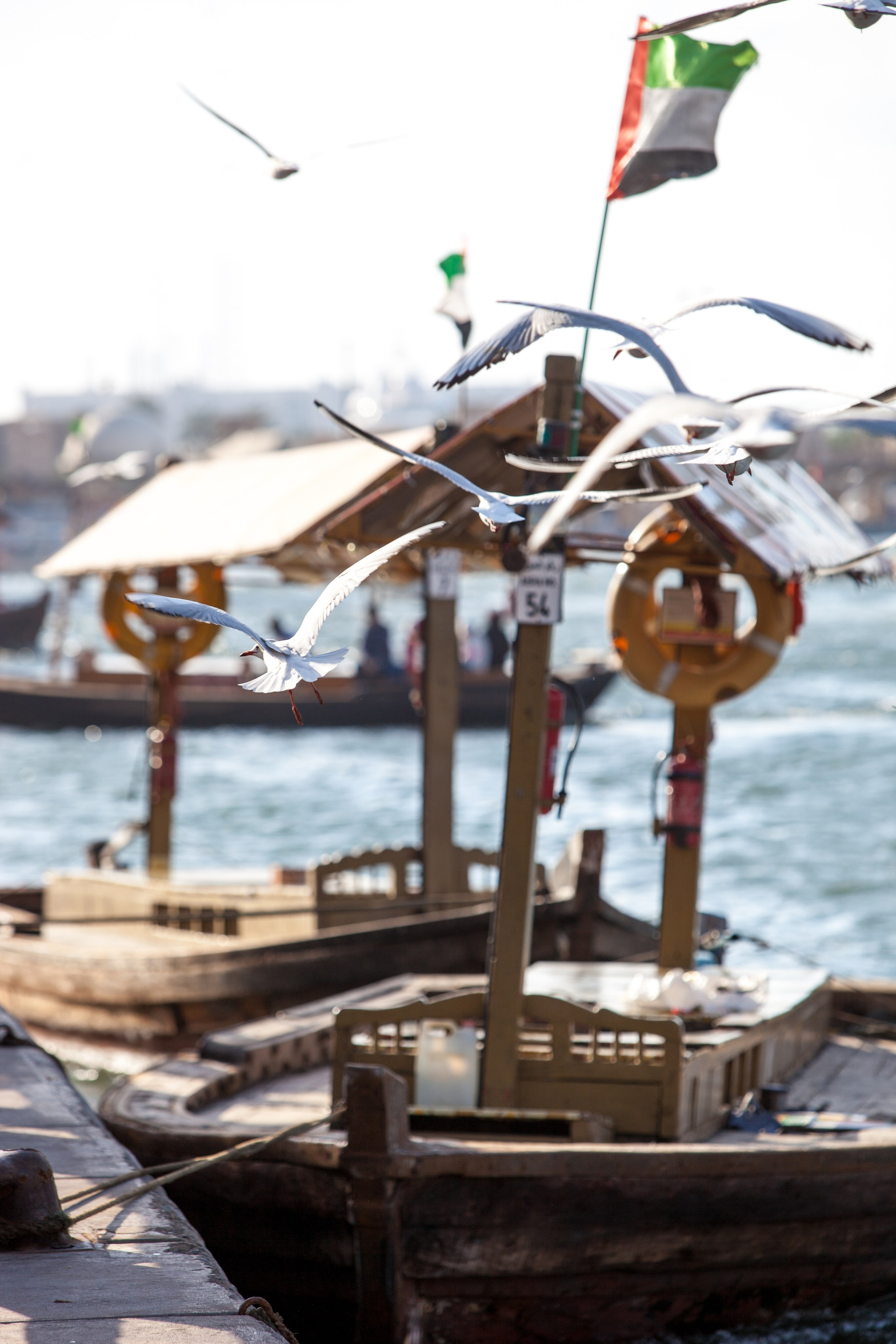 Дубай. Фотография, ретушь, сканирование, восстановление старых фото, интерьерная съёмка, студия. Данилов Александр, Москва