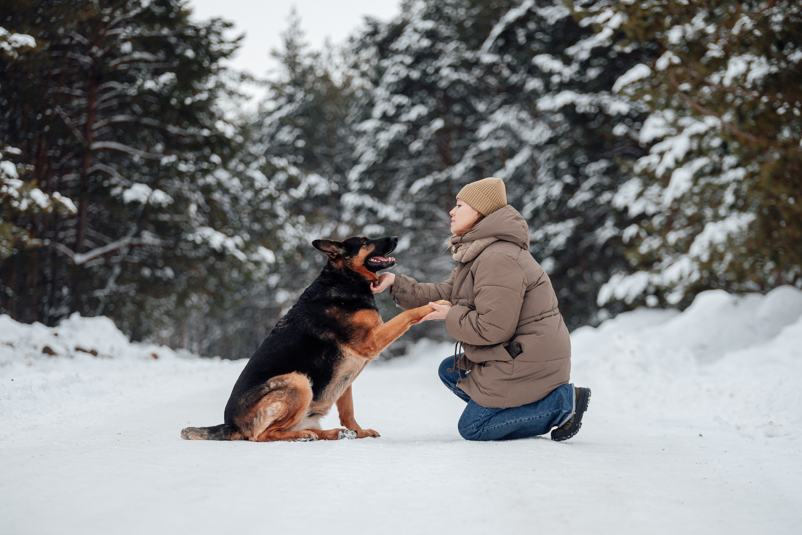 Светлана, Альфа и кошки ✨. Фотограф-анималист Анастасия Парфенова|Екатеринбург