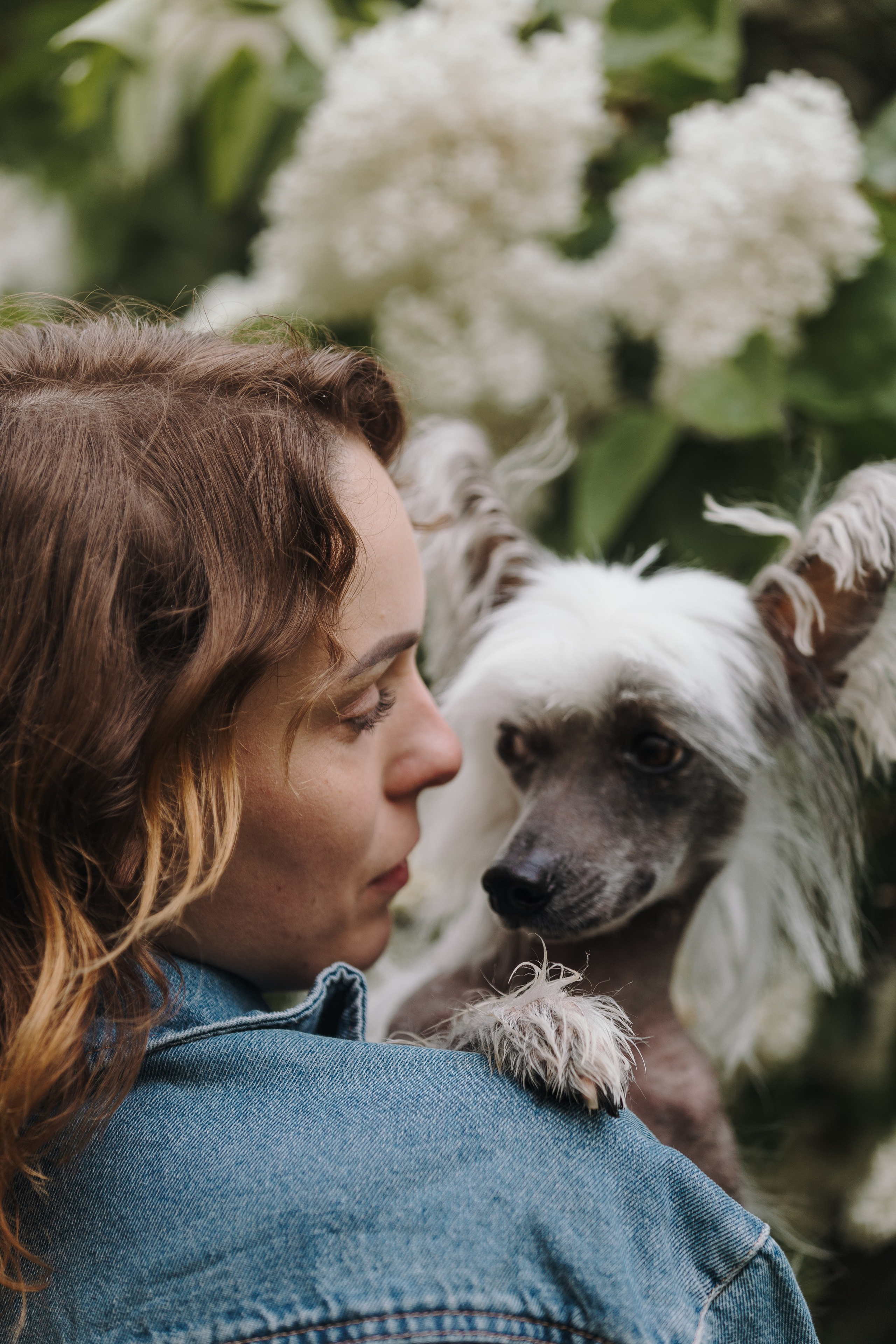 Лили, Уся, Вика и их семья. Фотограф анималист Кристина Карпова, Москва