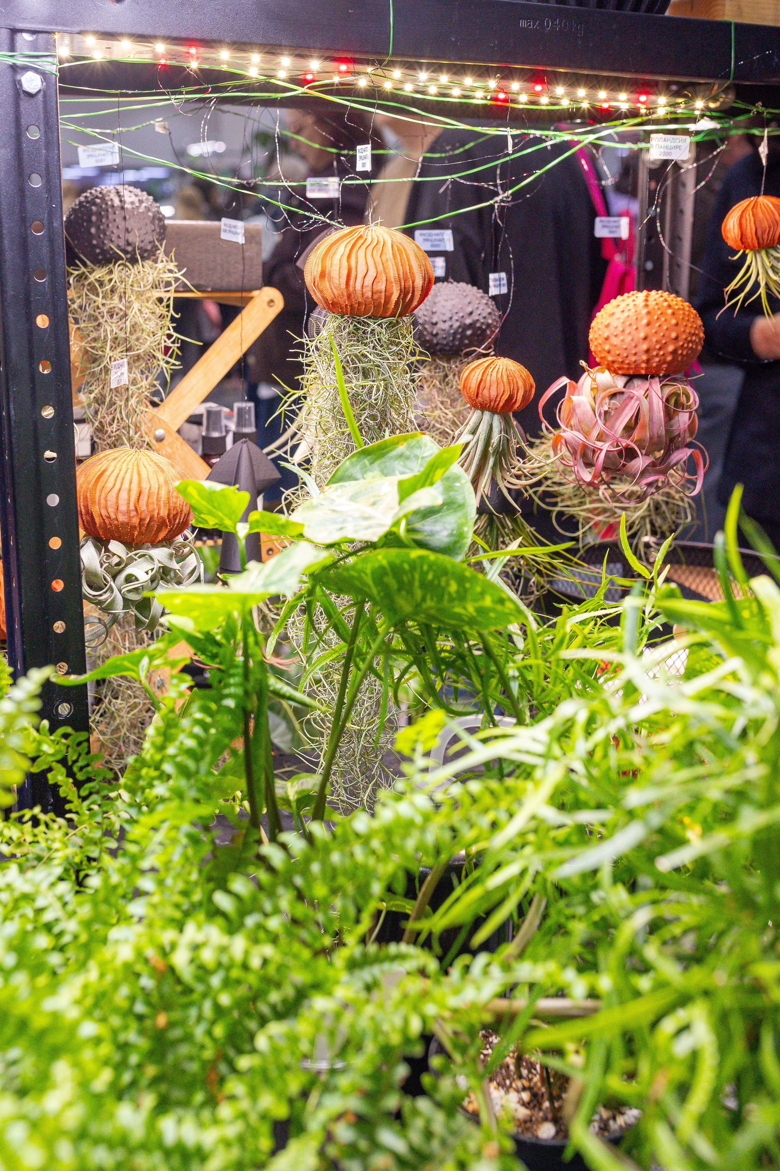 Монстериум 11–12 октября. Александра Куликова фотограф, Москва