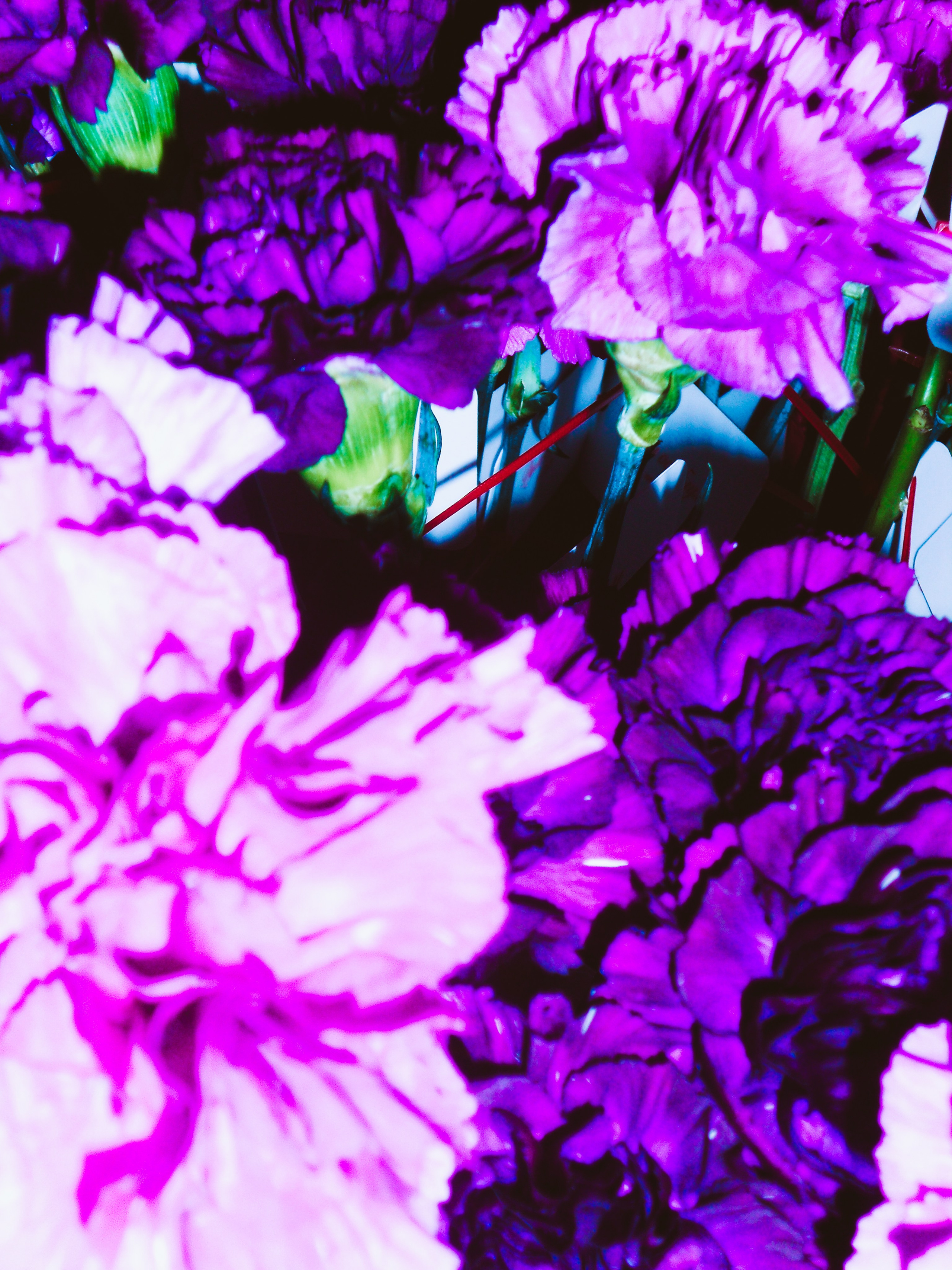 STREET STYLE PARTY. TUTSARKIS — Art Director | Stylist | Photographer