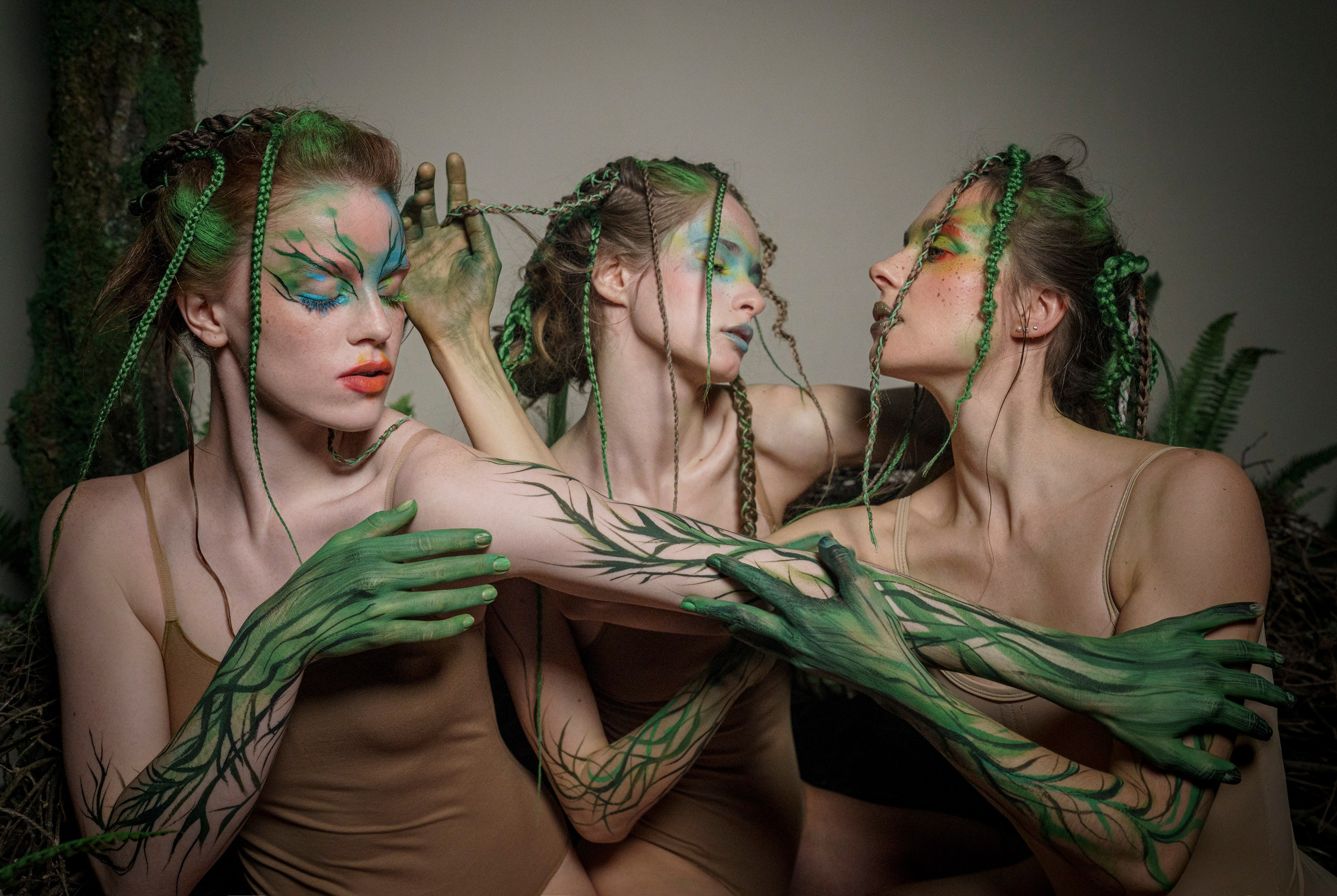 Гнездо. Фотограф Сергей Танков