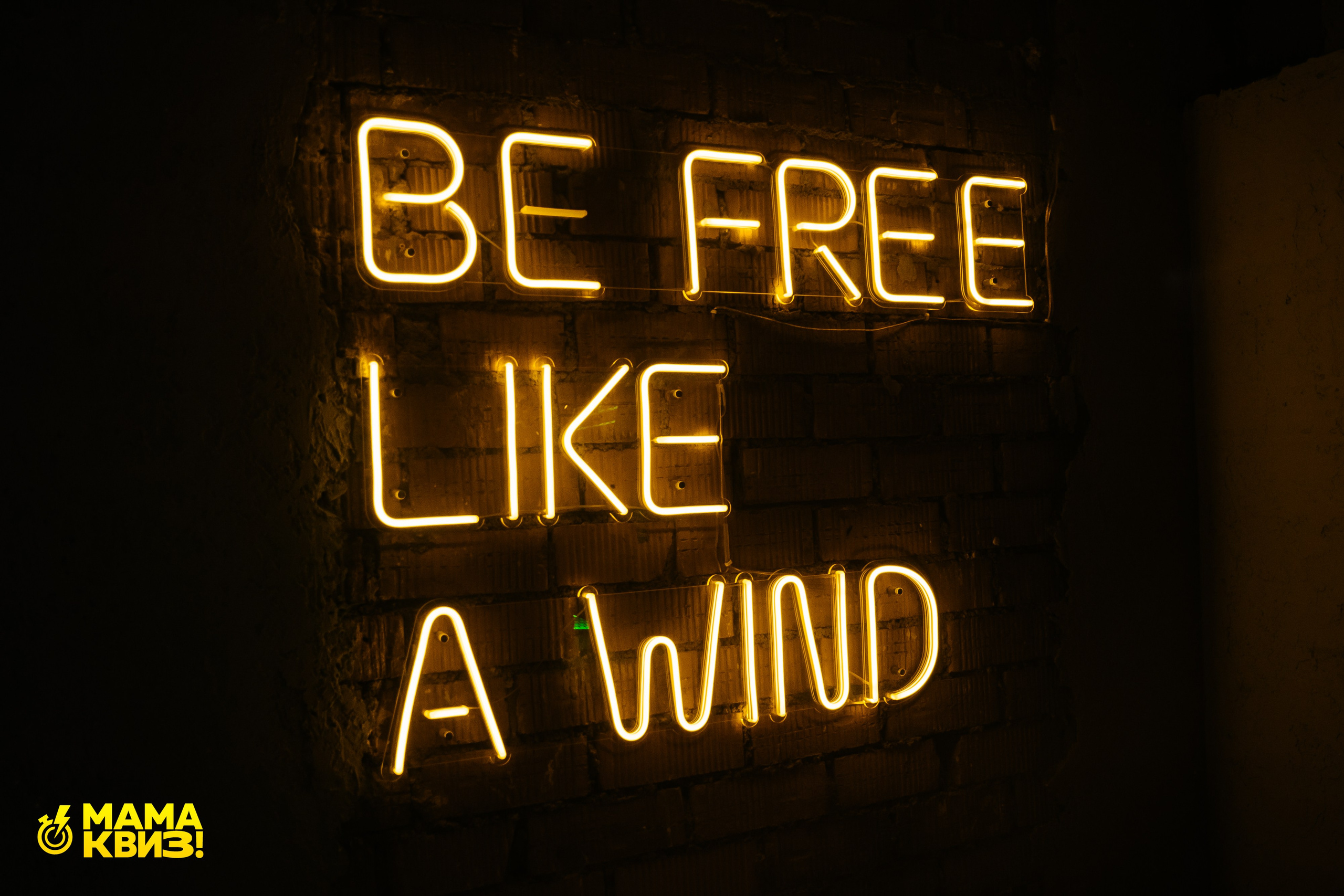 МАМА КВИЗ!. Свадебный фотограф Минск, Фаниполь, Беларусь Кирилл Напреев