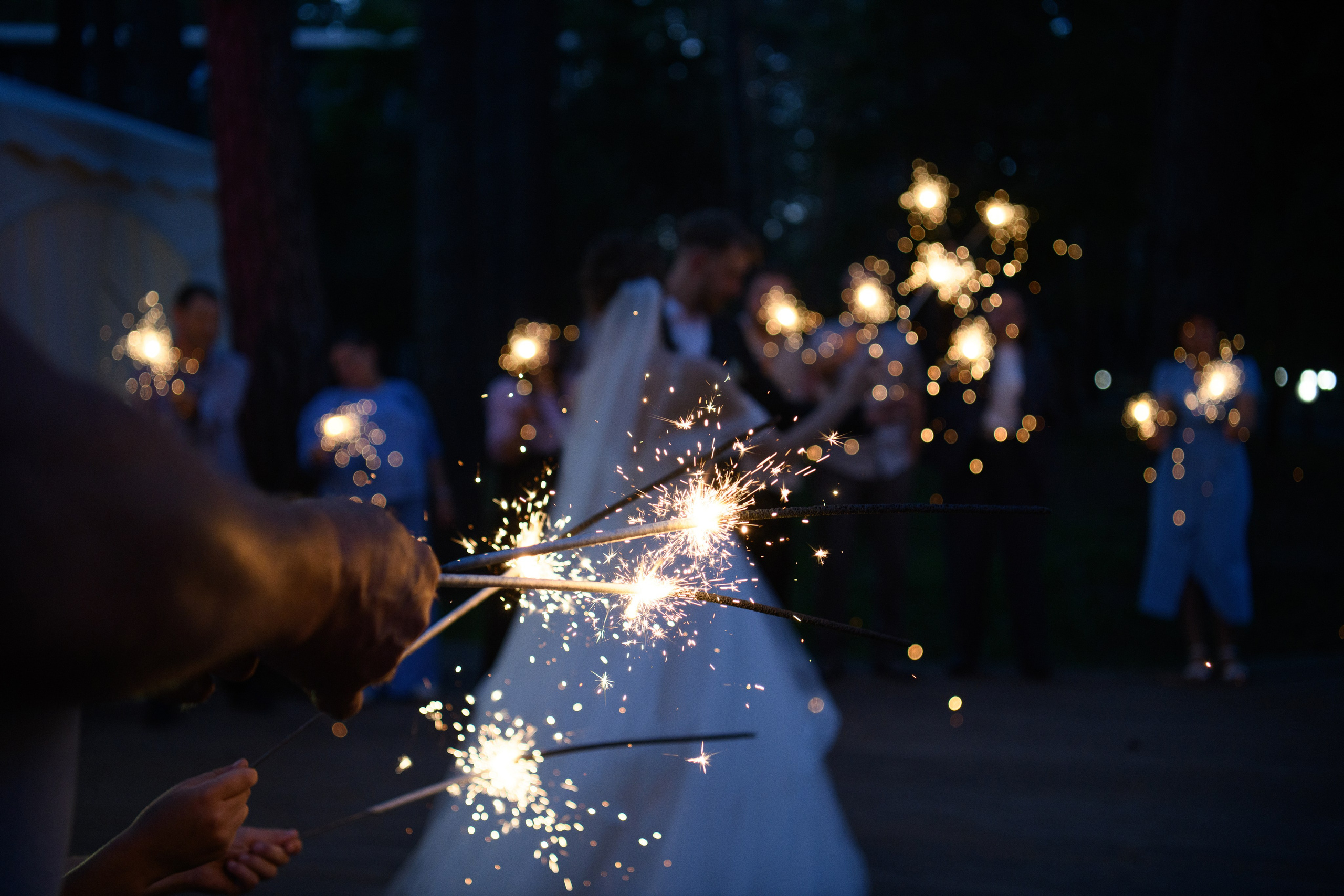 Свадебные фотосессии в Барнауле. Свадебный фотограф в Барнауле. Свадебный фотограф в Барнауле | Анна Глухова