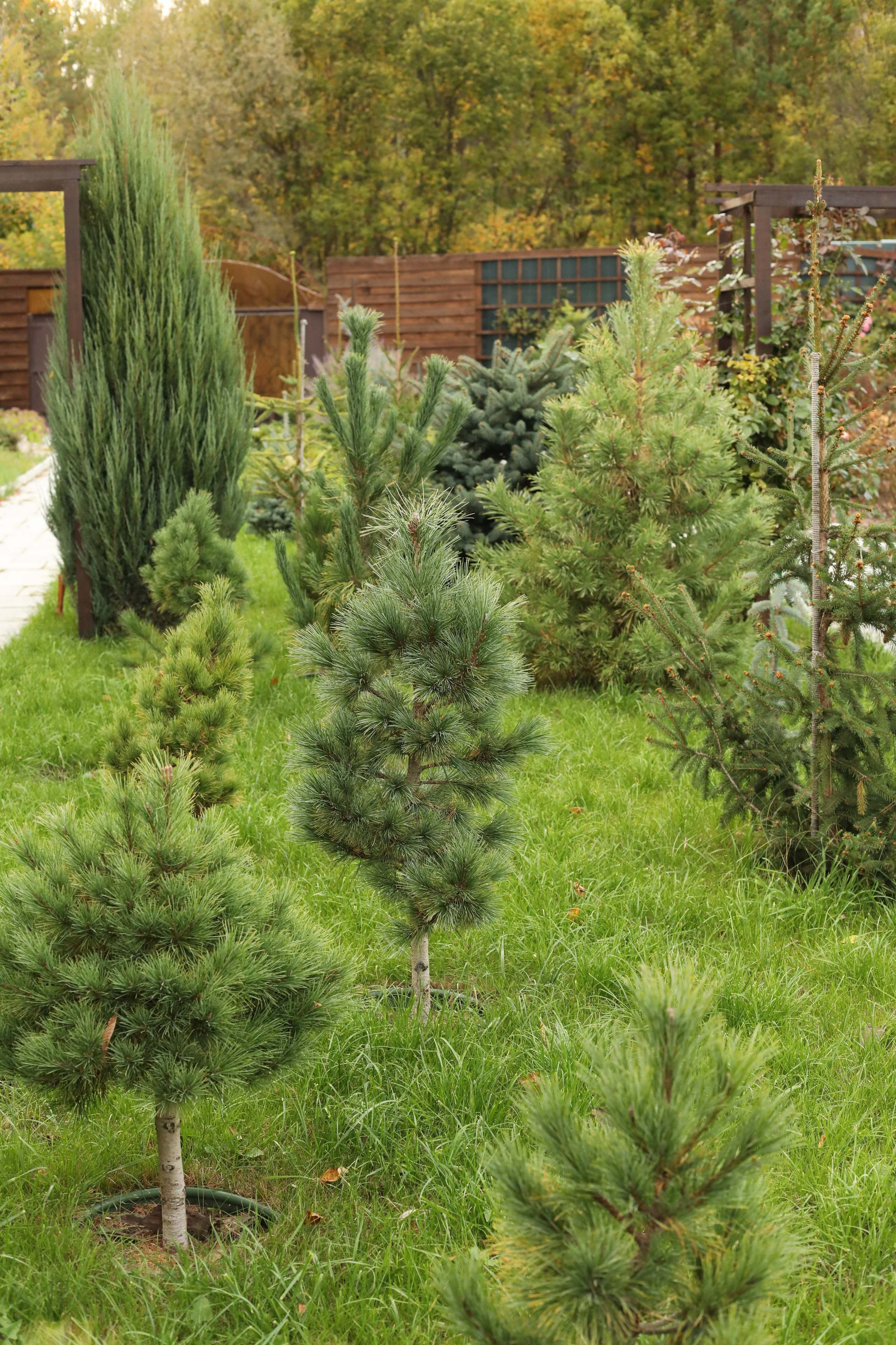 Парк-заповедник Купидон. Семейный фотограф в Димитровграде Елена Патрушева