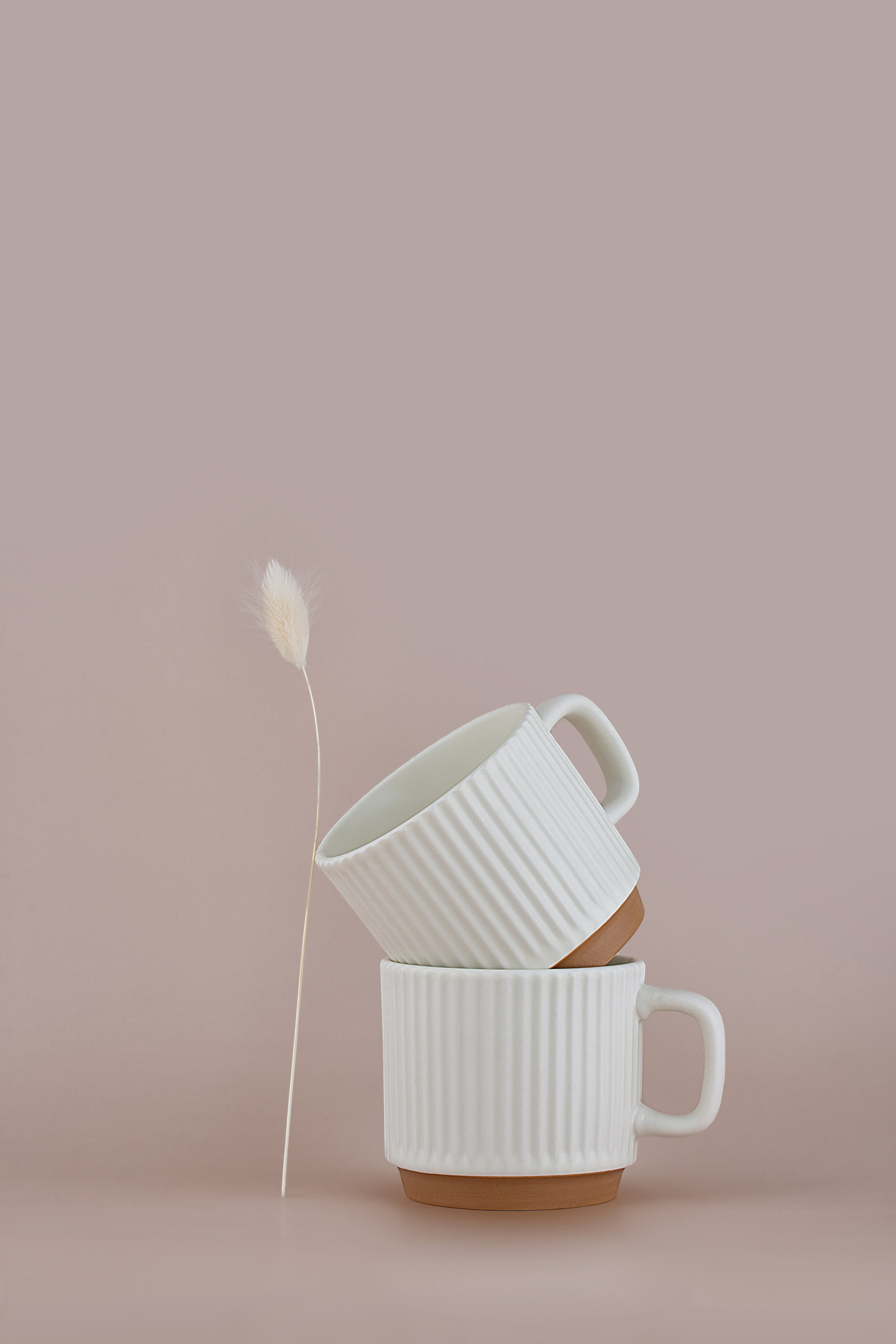 Еда. ПРУДМЕТНАЯ И ФУД СЪЕМКА