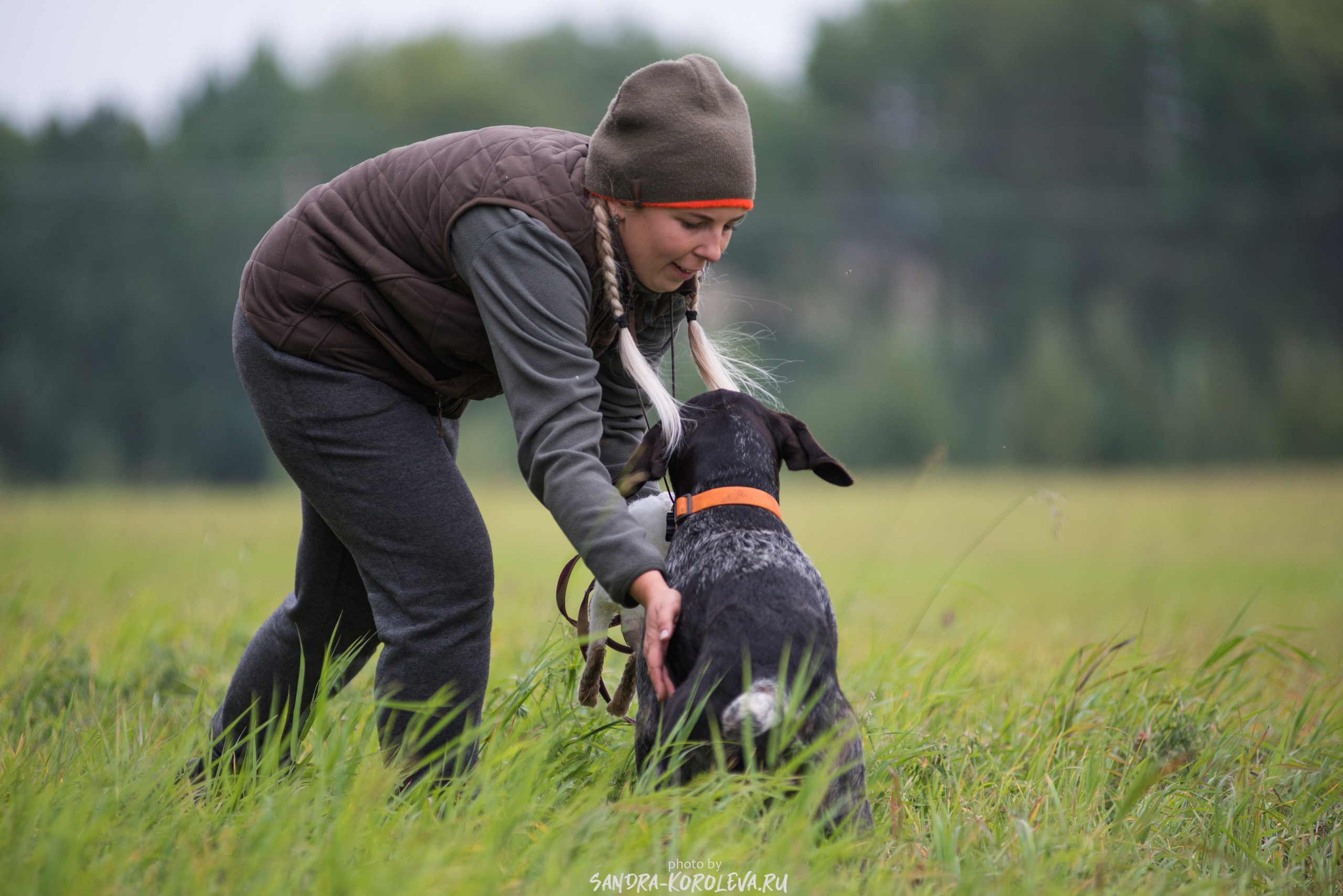 Рабочие дипломы. Главная