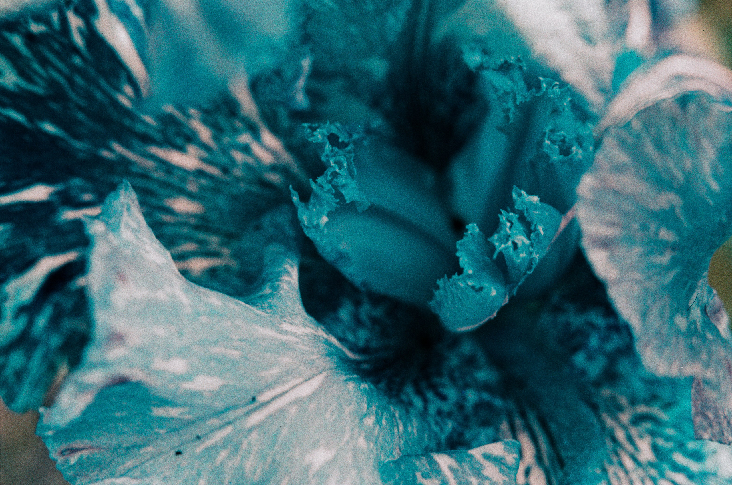 Point of no reply // ukraine, crimea II. EVER EXPOSED