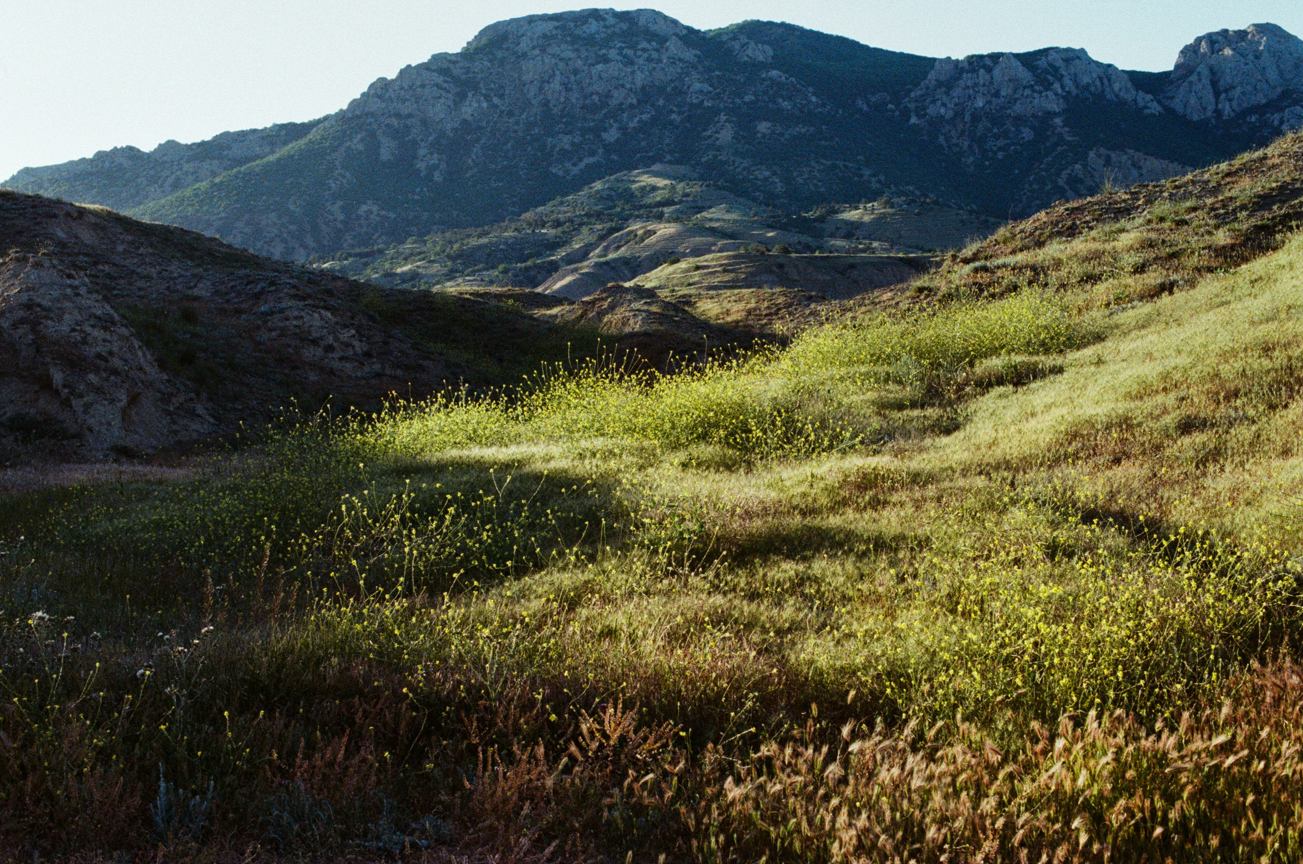 Kool-aid // ukraine, crimea VI. EVER EXPOSED