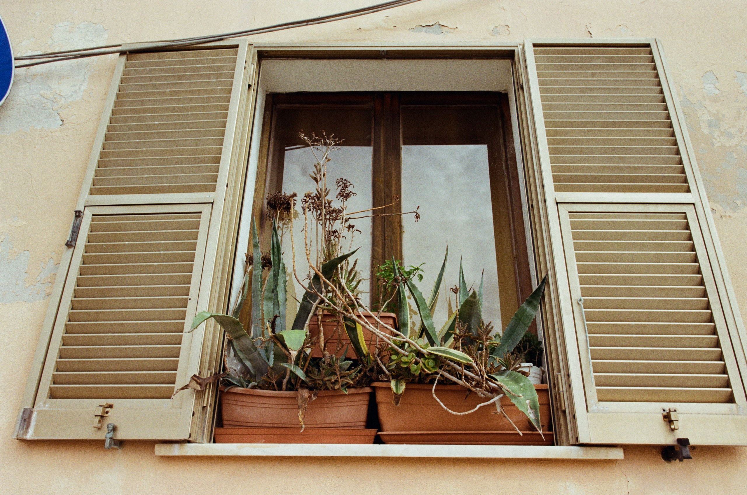 Moriro da re // sardinia, st teresa gallura. EVER EXPOSED