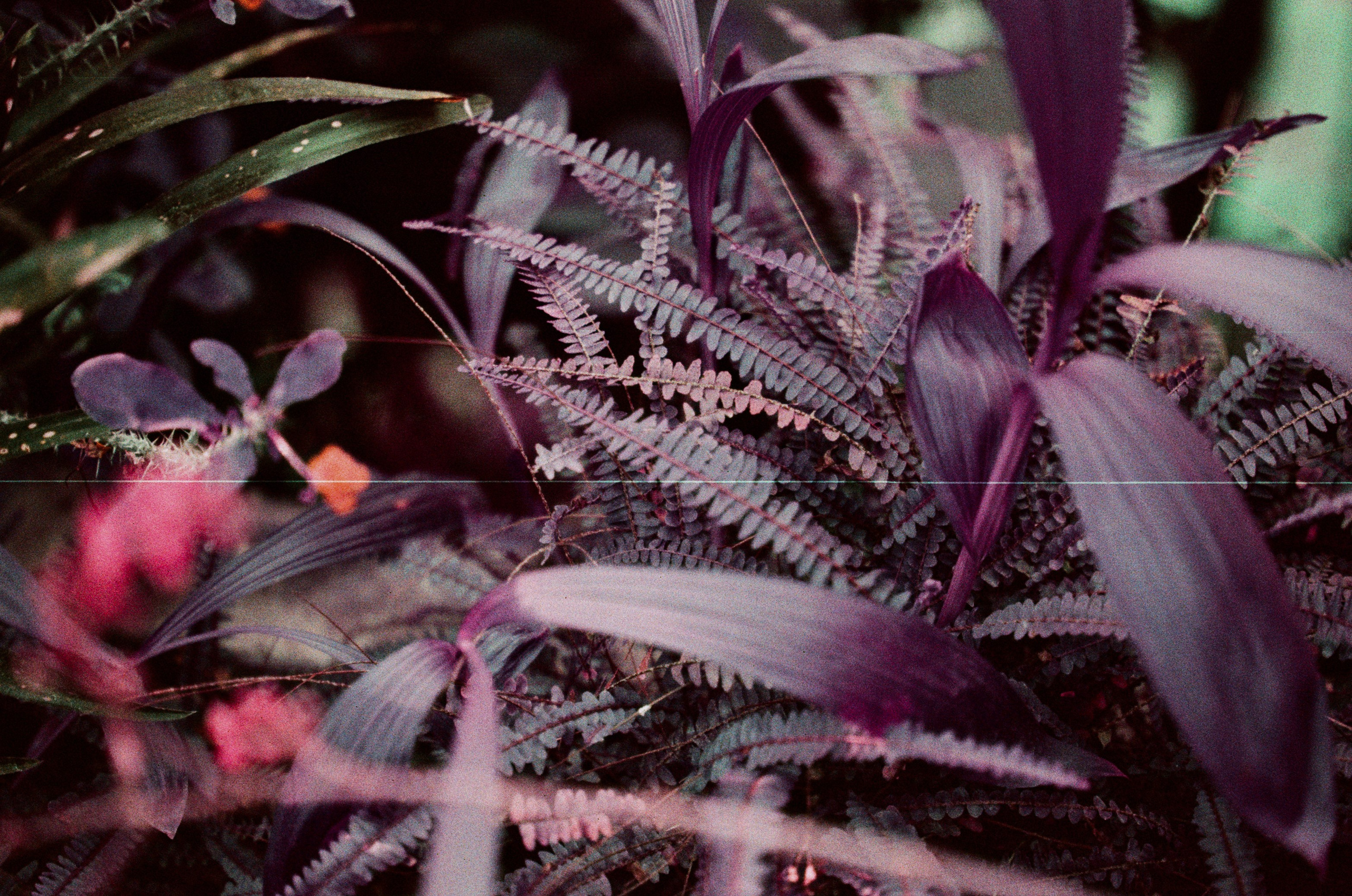 Pain shopping // ukraine, crimea II. EVER EXPOSED