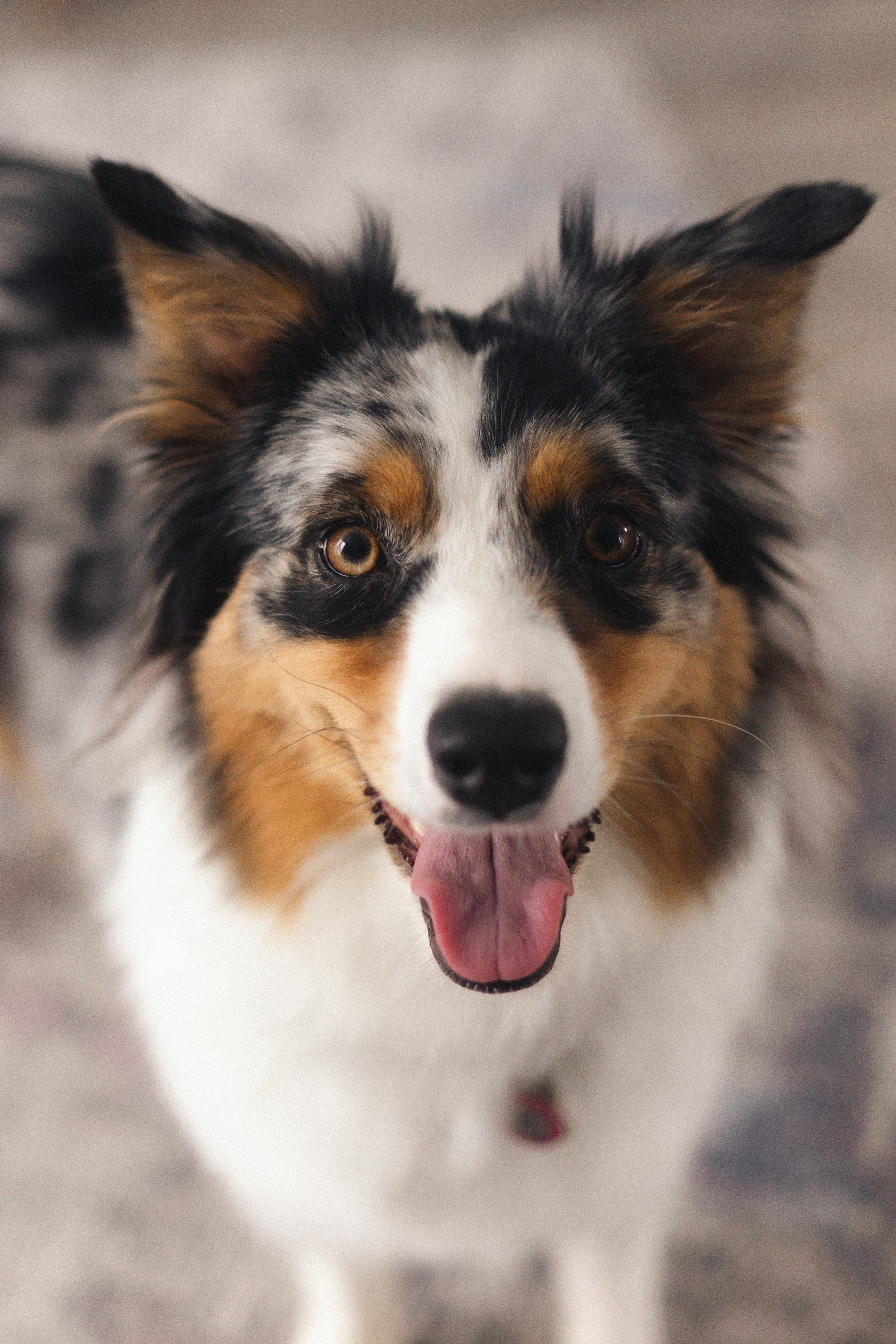 Появление брата. Фотограф из Петербурга