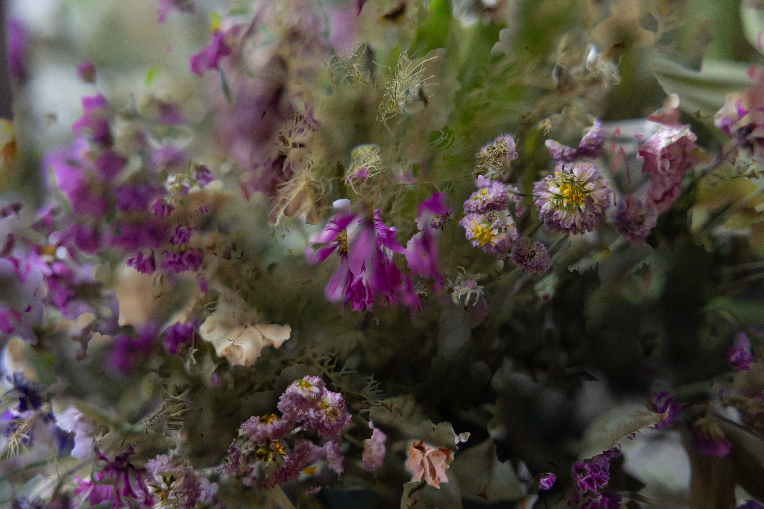Art prints. Фотограф алина стерхова, алина стерхова фотограф, фотограф москва