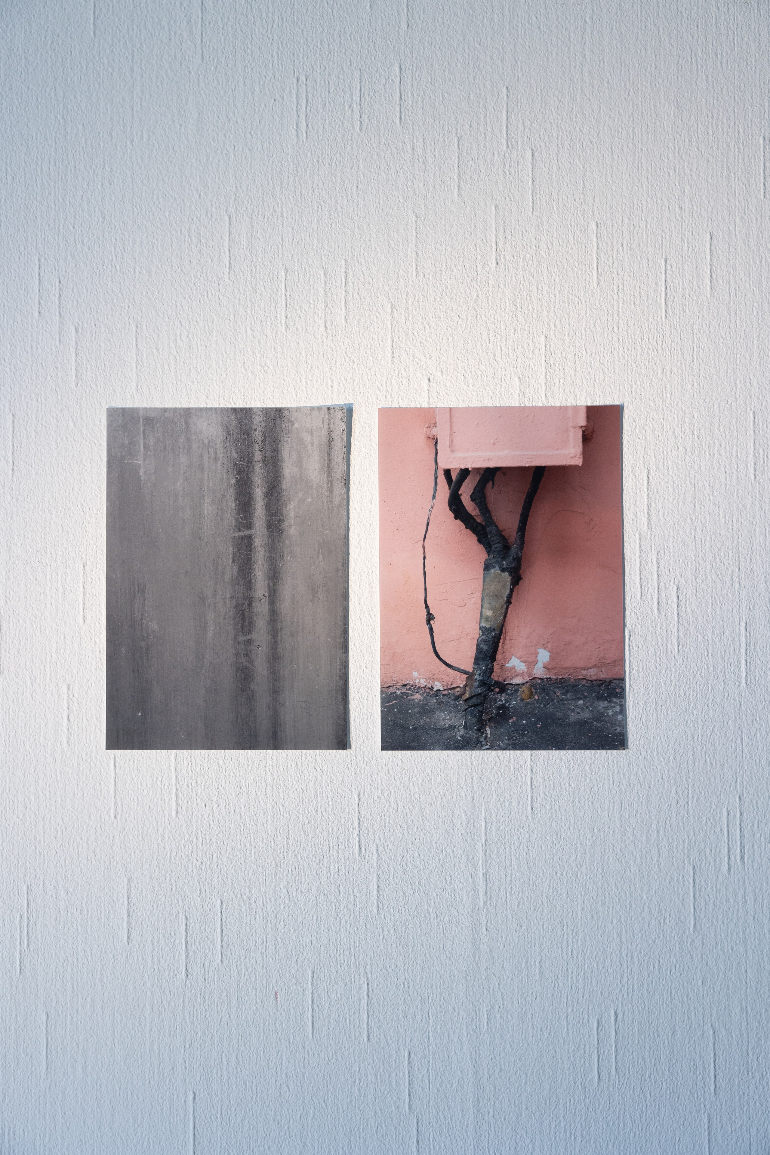 Personal exhibition Interior landscape 2025. Фотограф алина стерхова, алина стерхова фотограф, фотограф москва