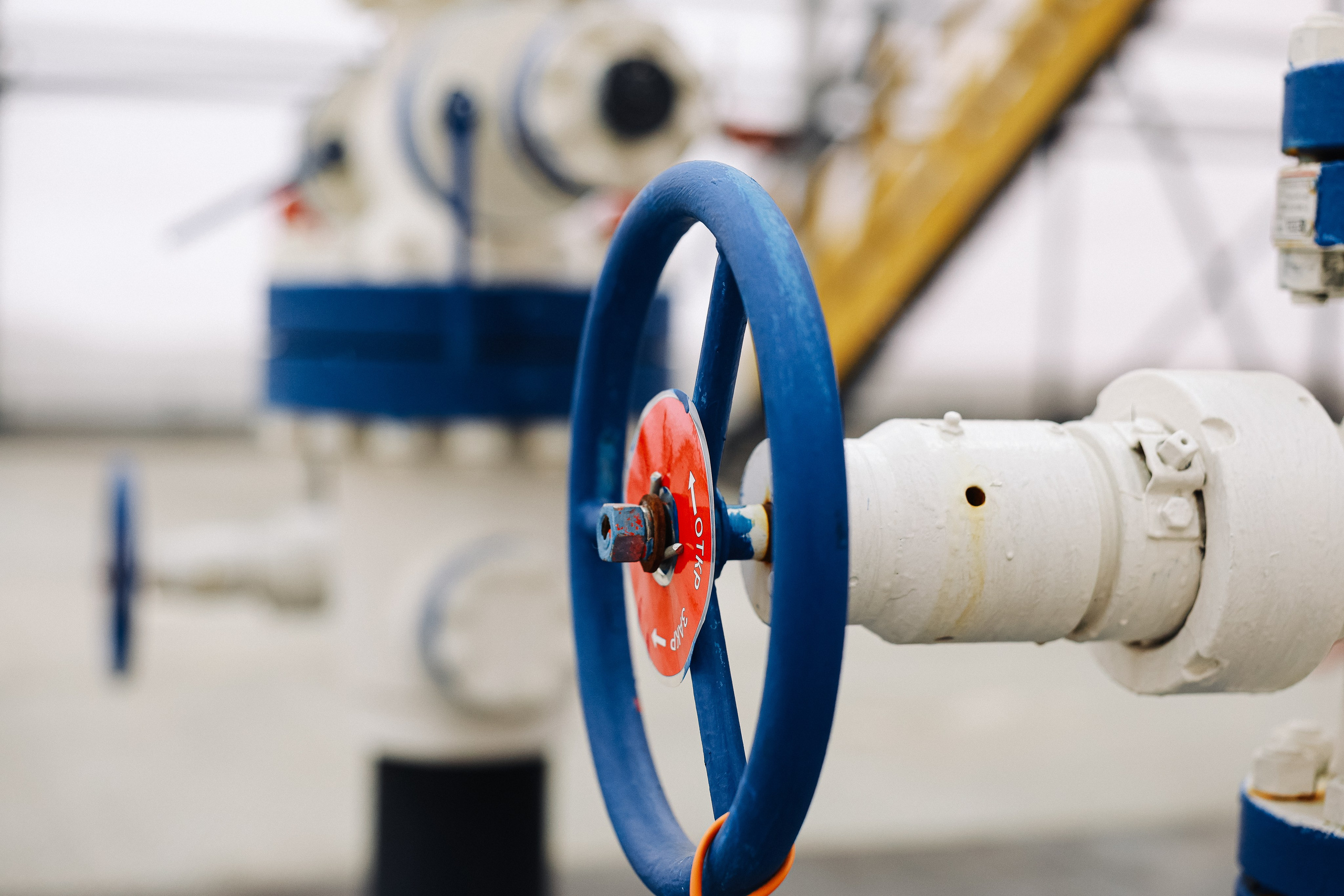 Рабочий визит на Кальчинское м-р. MIG — студия спортивной фотографии Михаила Голянского